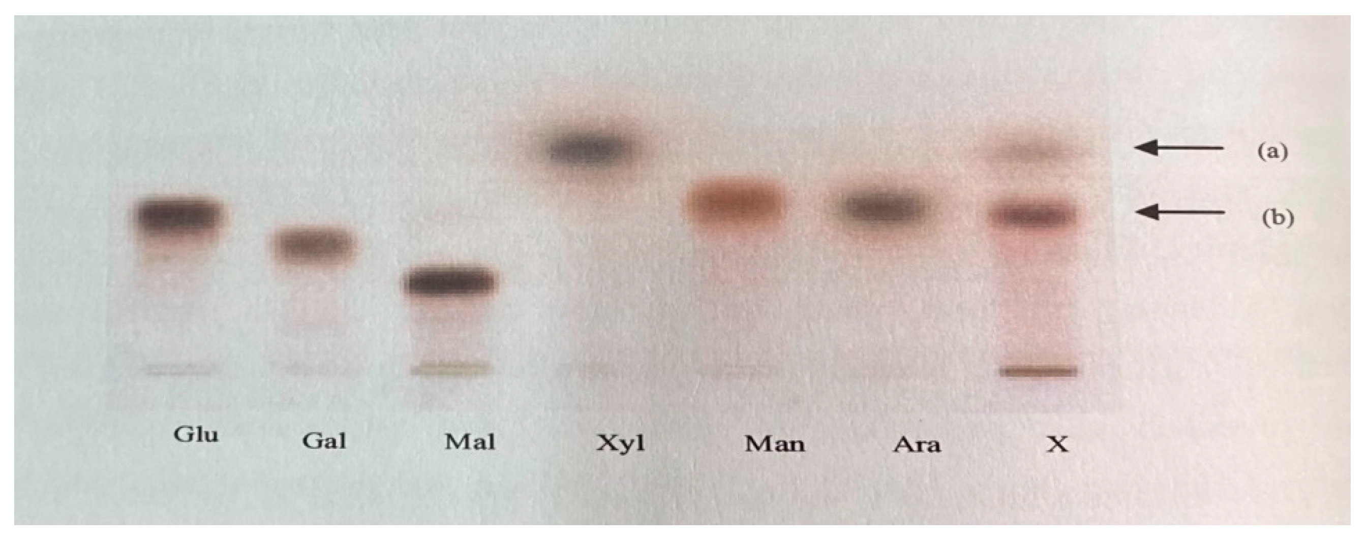 Preprints 73152 g001