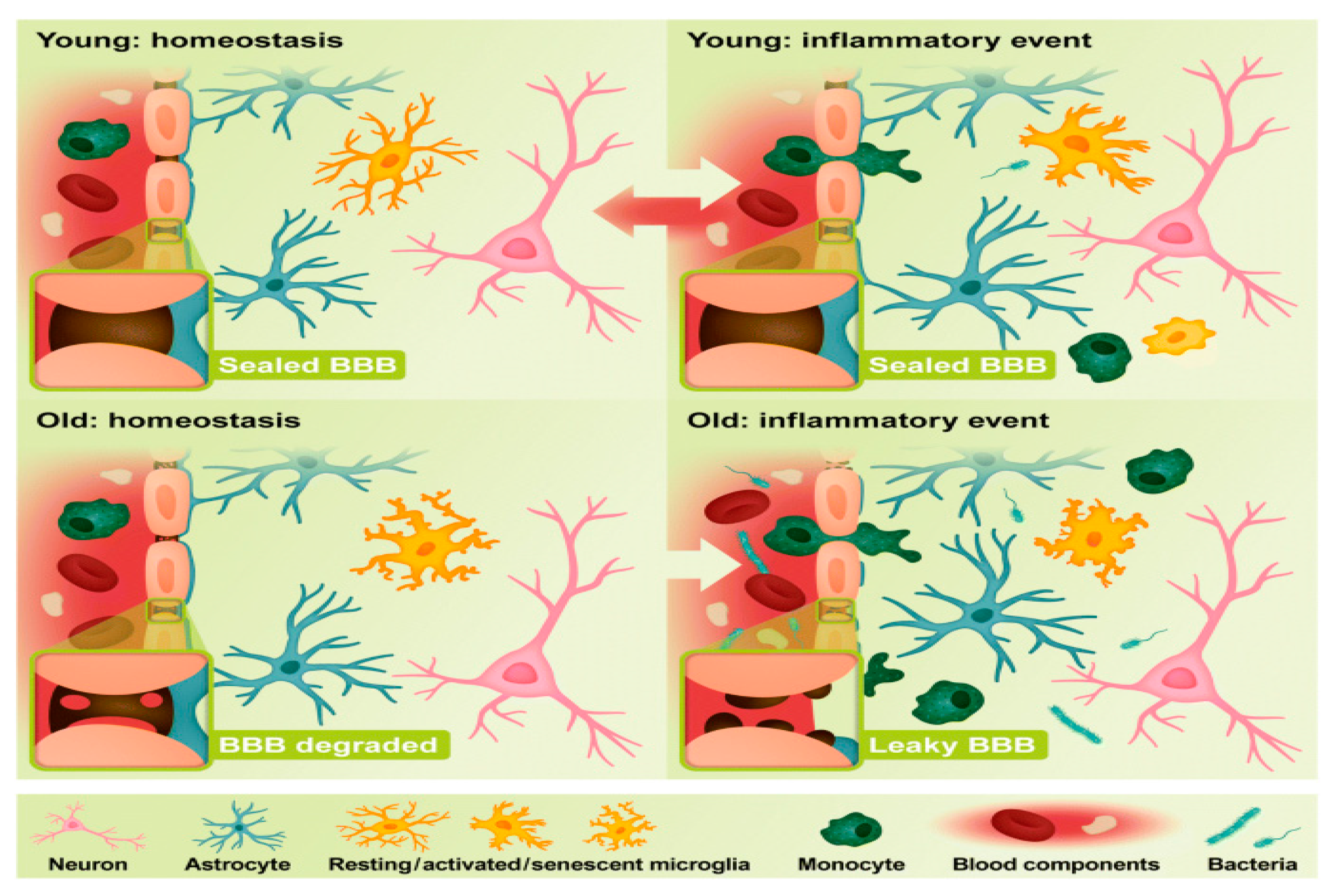 Preprints 74371 g002