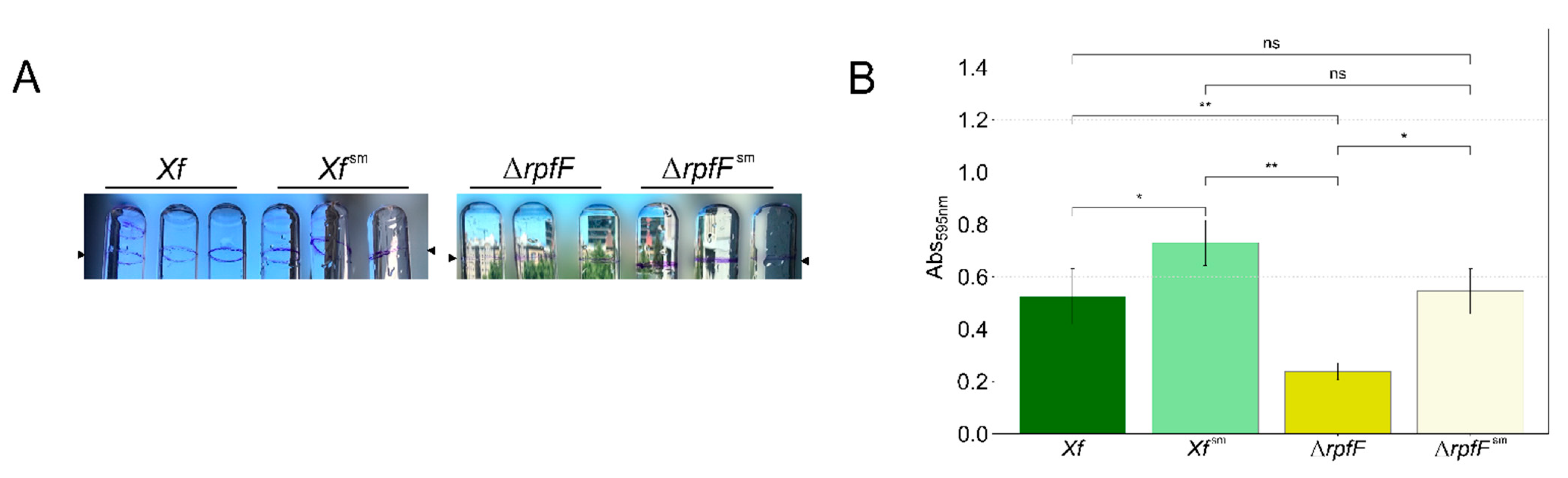 Preprints 91834 g001