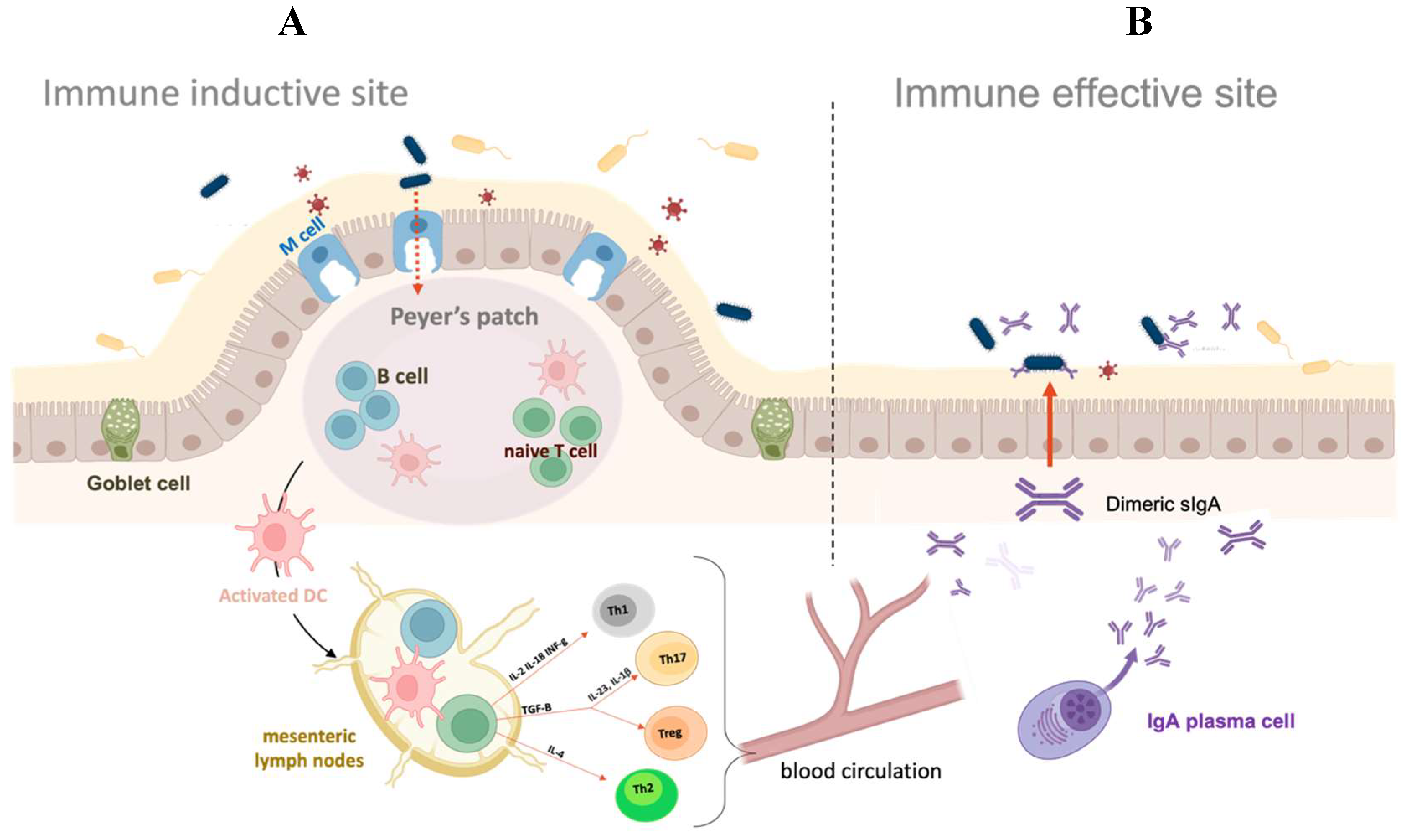 Preprints 74452 g001