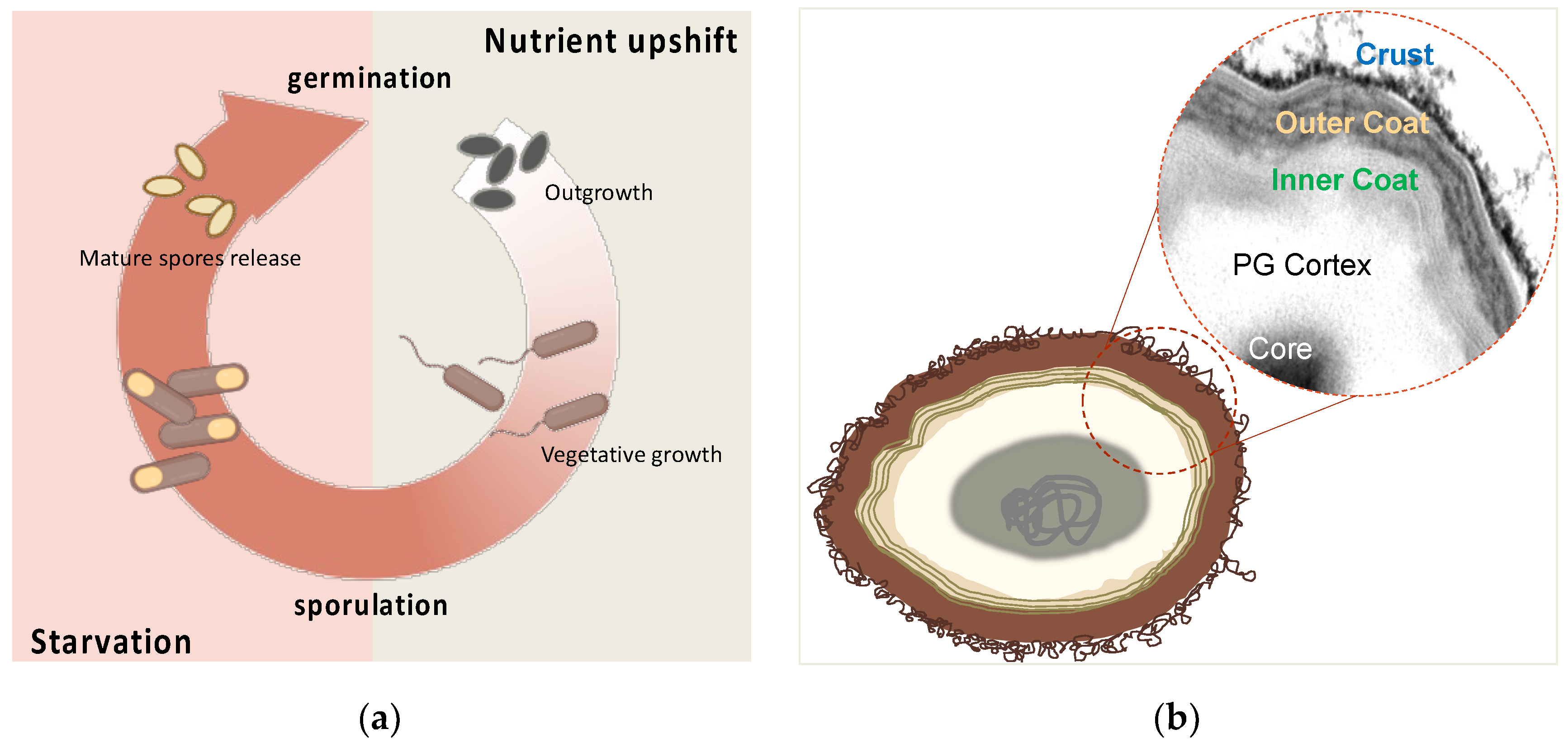 Preprints 74452 g002