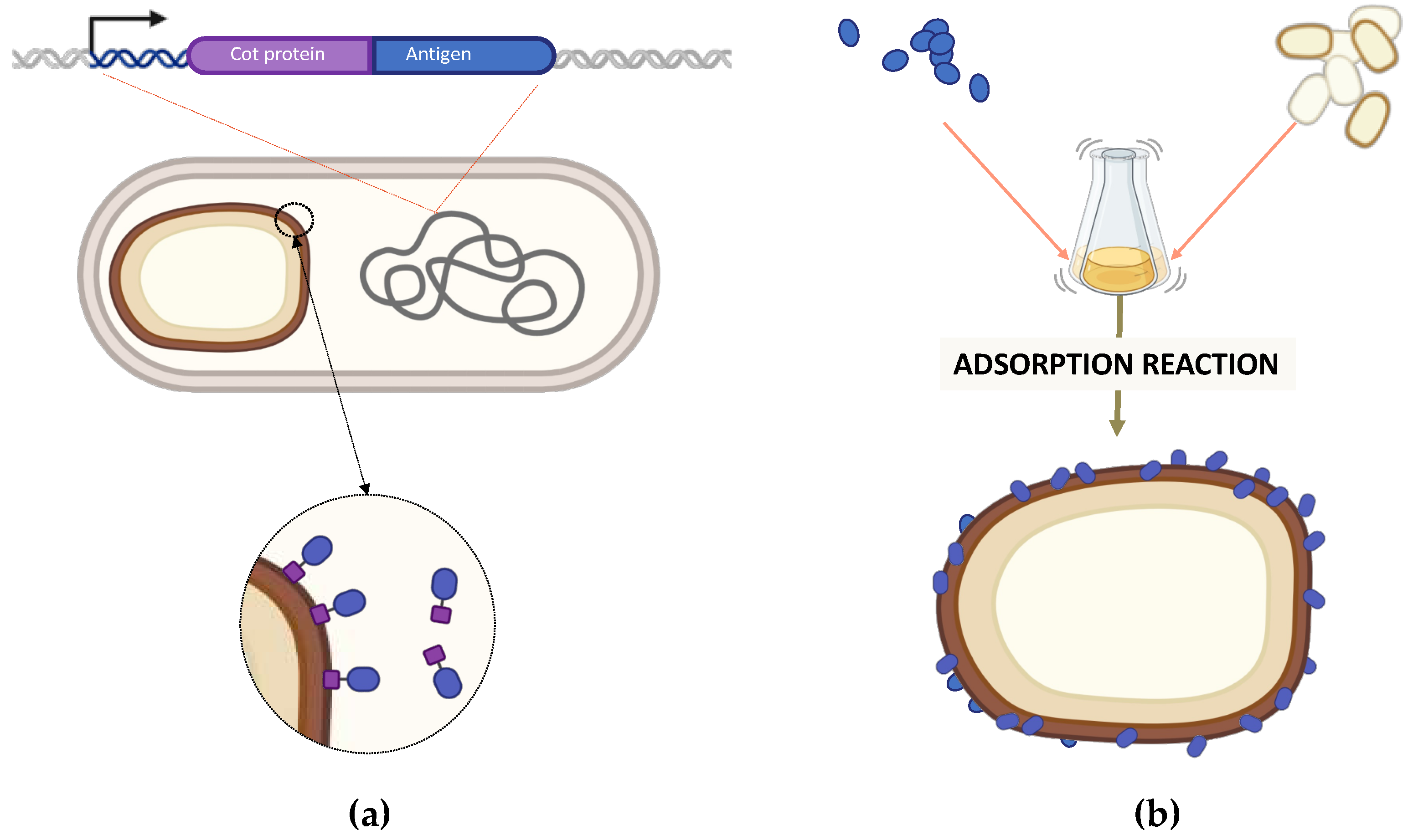 Preprints 74452 g003