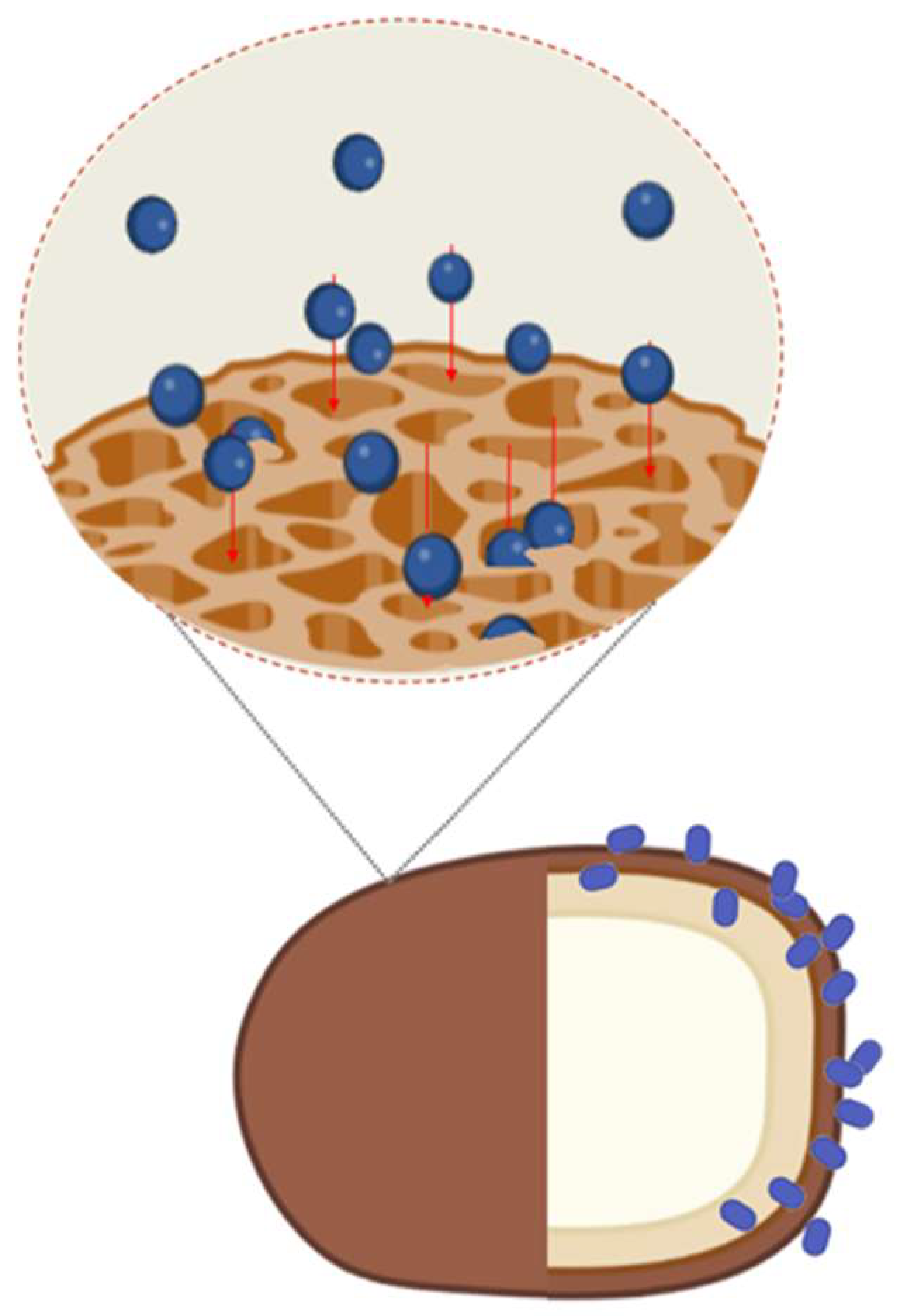 Preprints 74452 g004