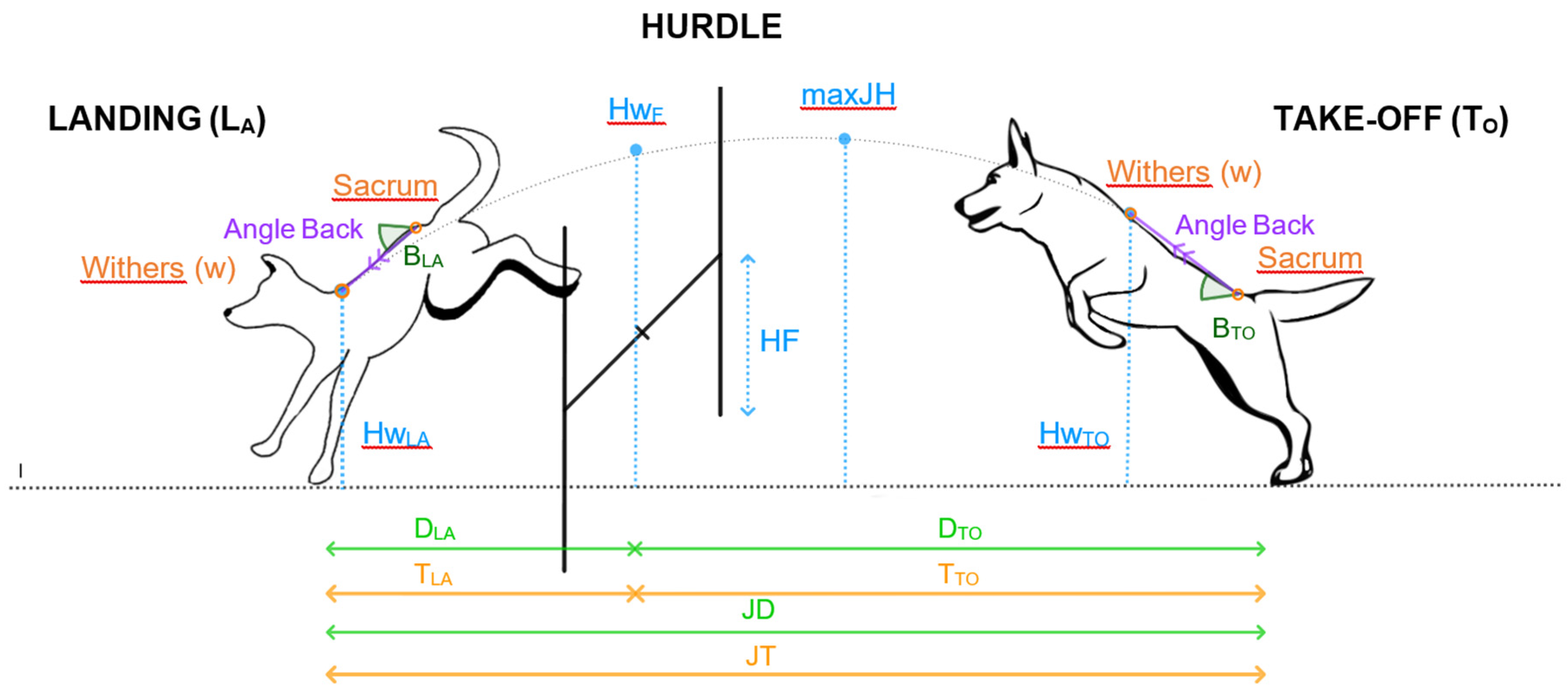 Preprints 144783 g002