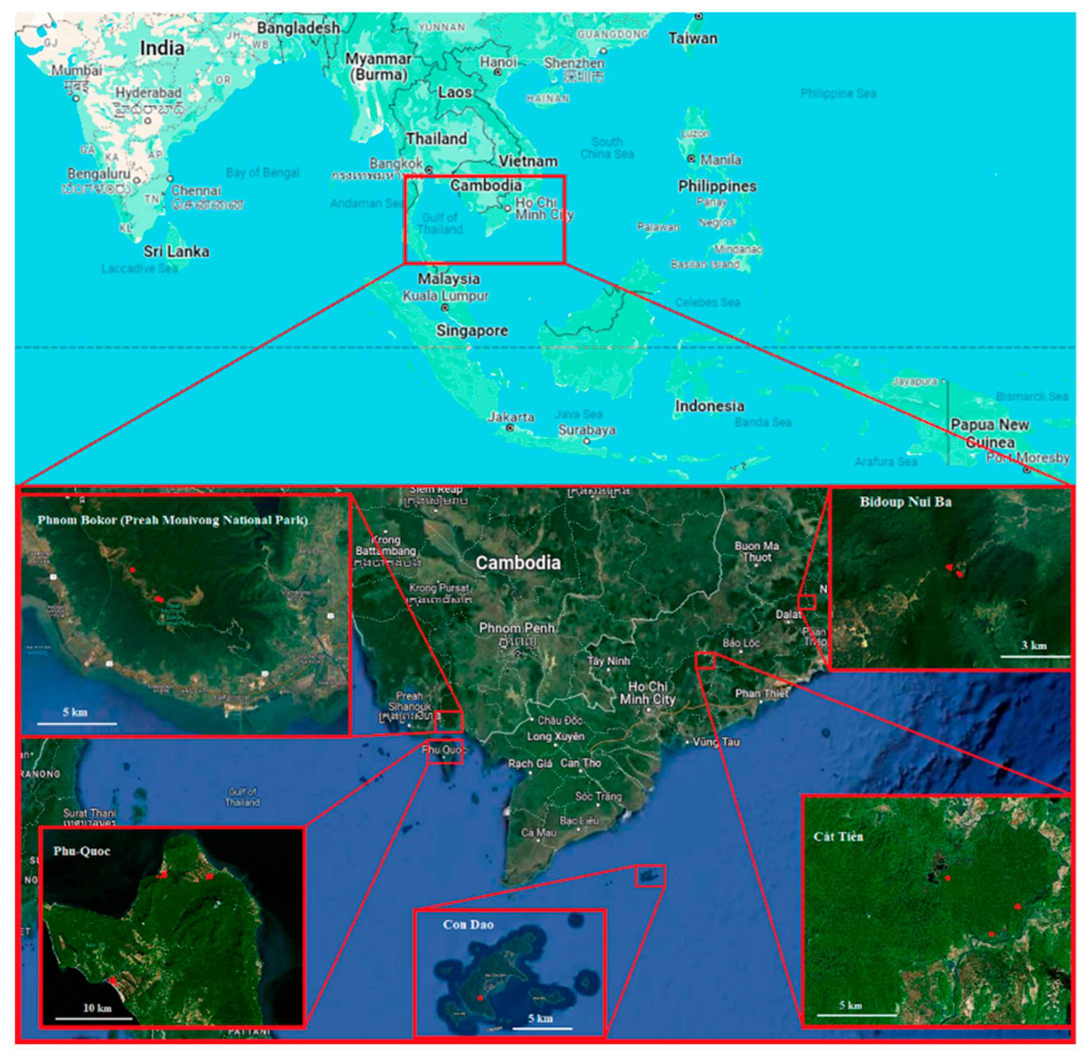 Preprints 121204 g001