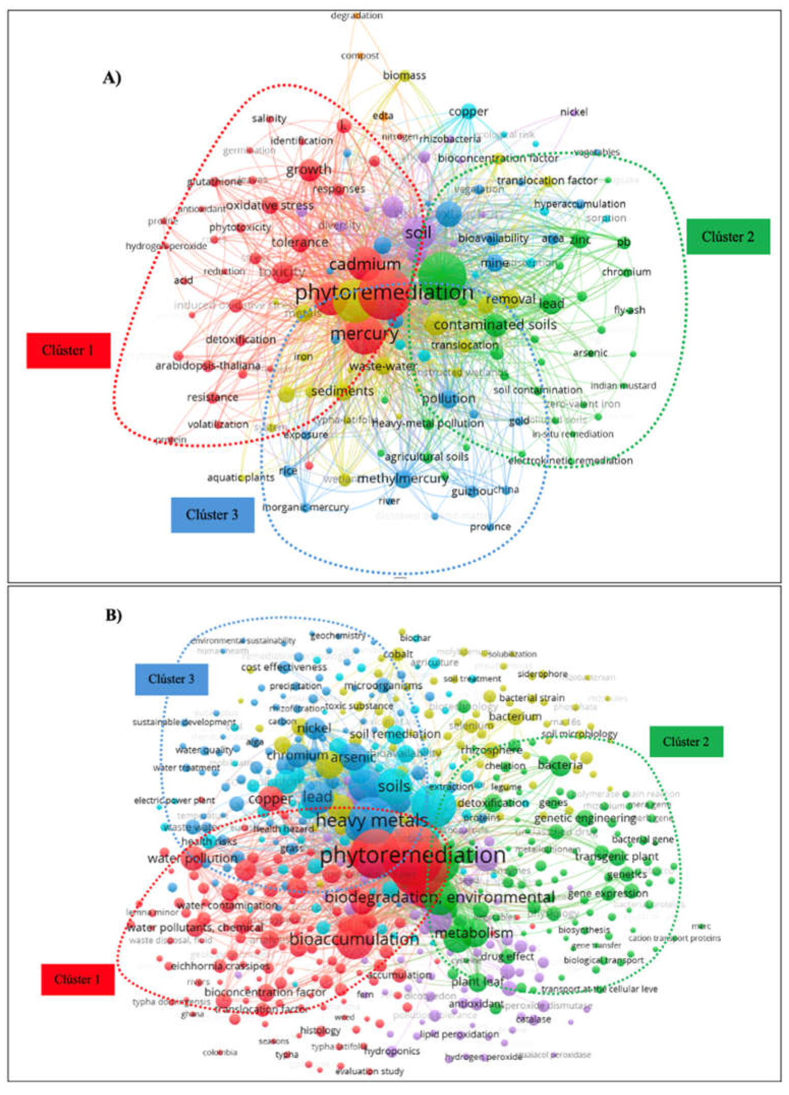 Preprints 113468 g006