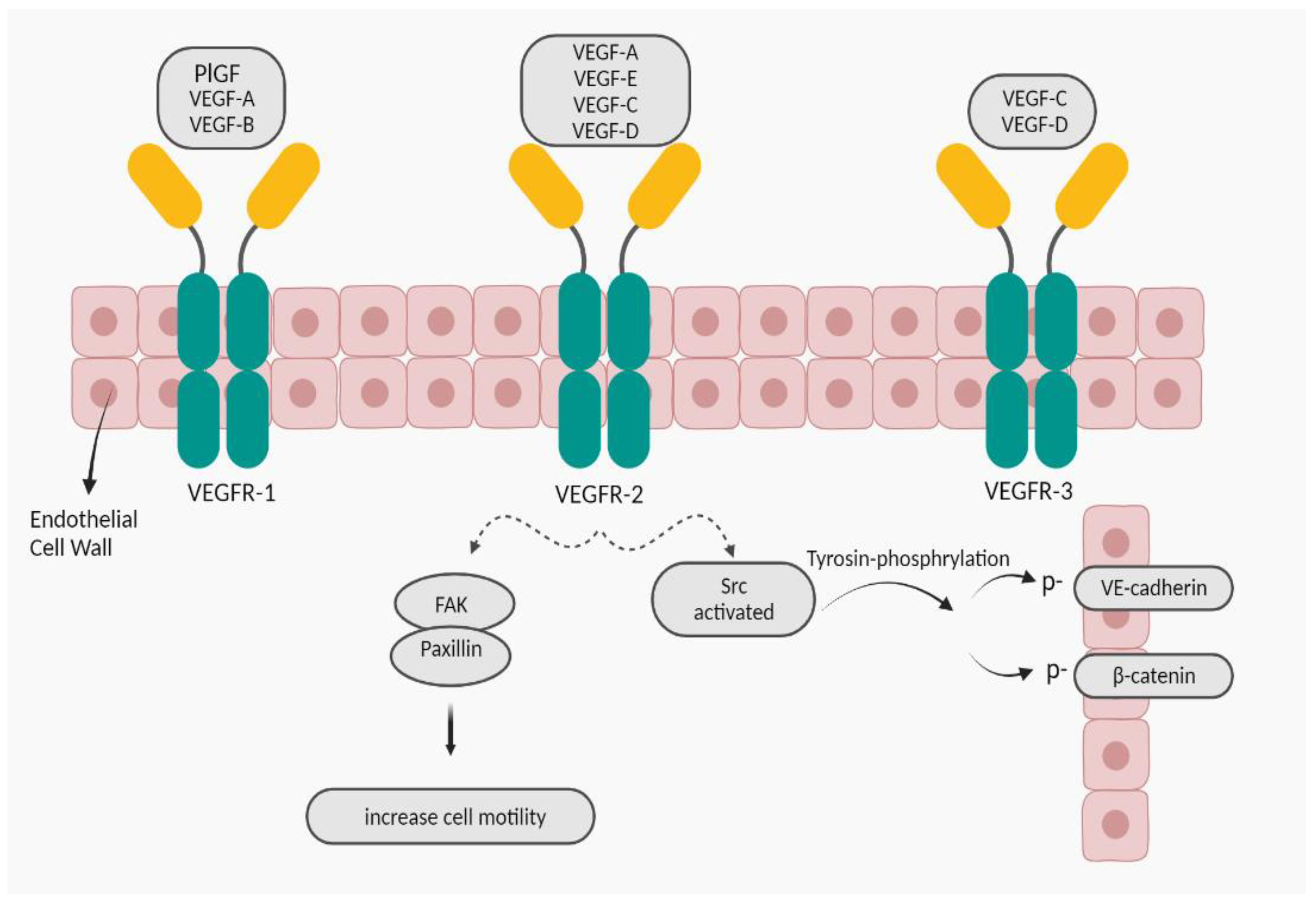 Preprints 92324 g003