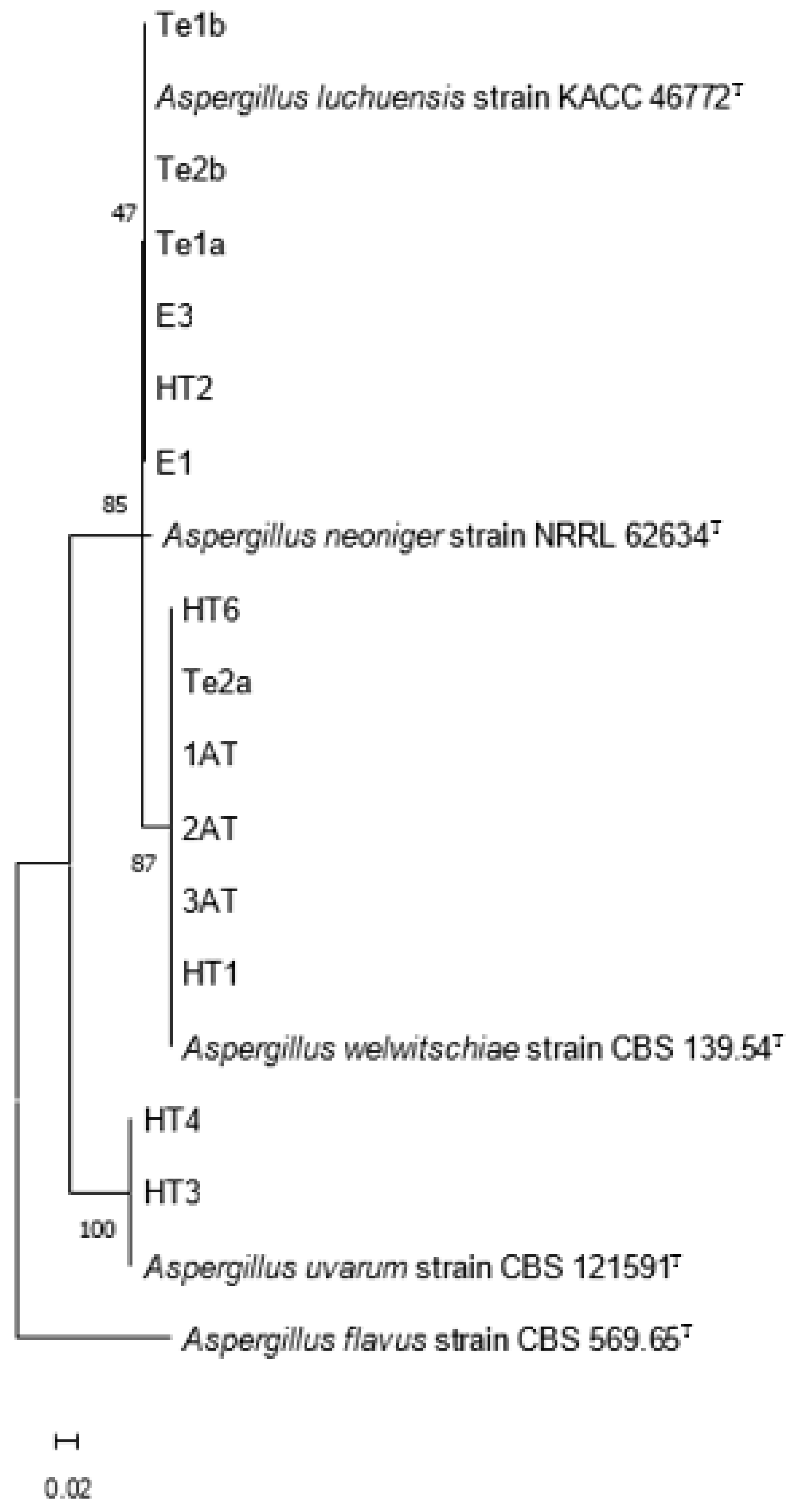 Preprints 174577 g002