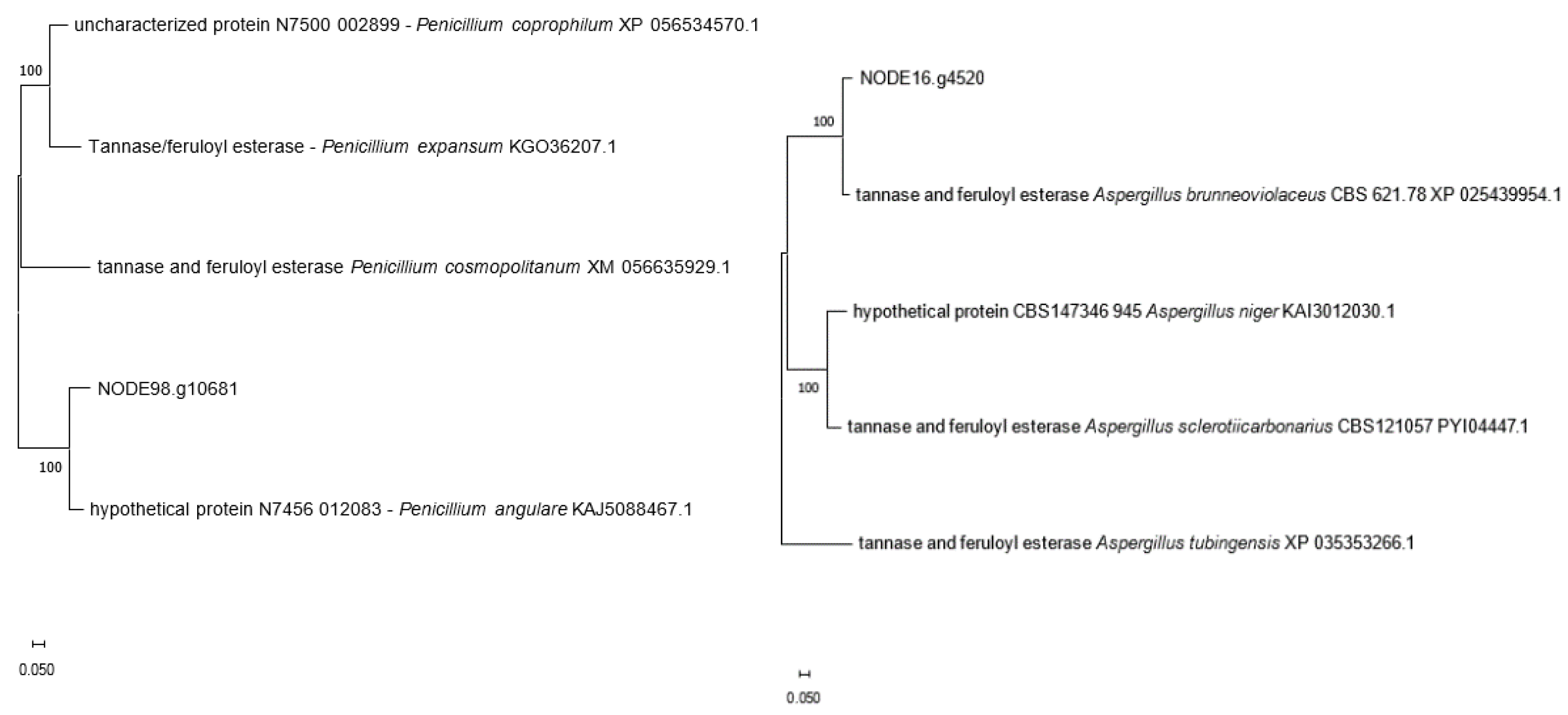 Preprints 174577 g003