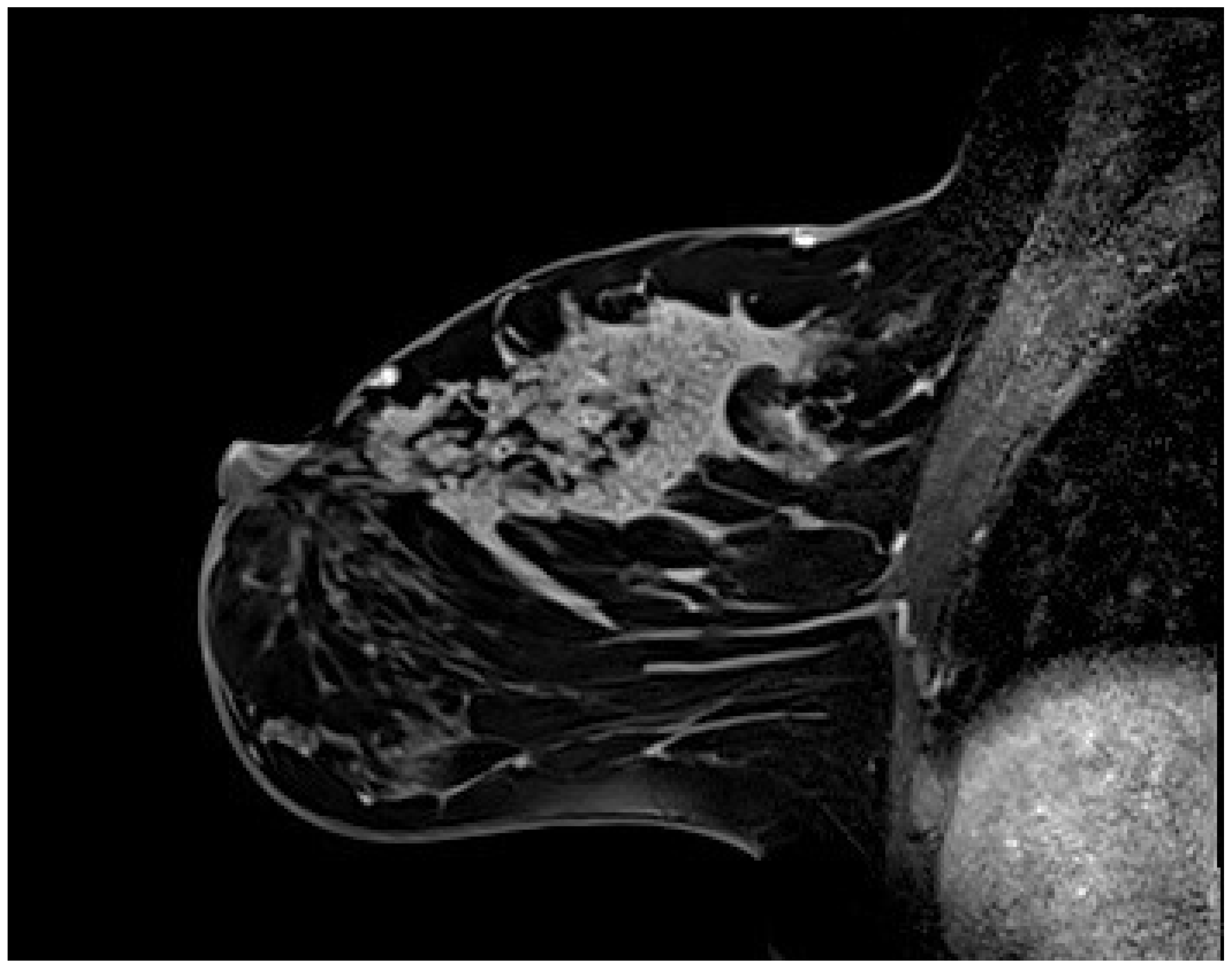 Preprints 172925 g002