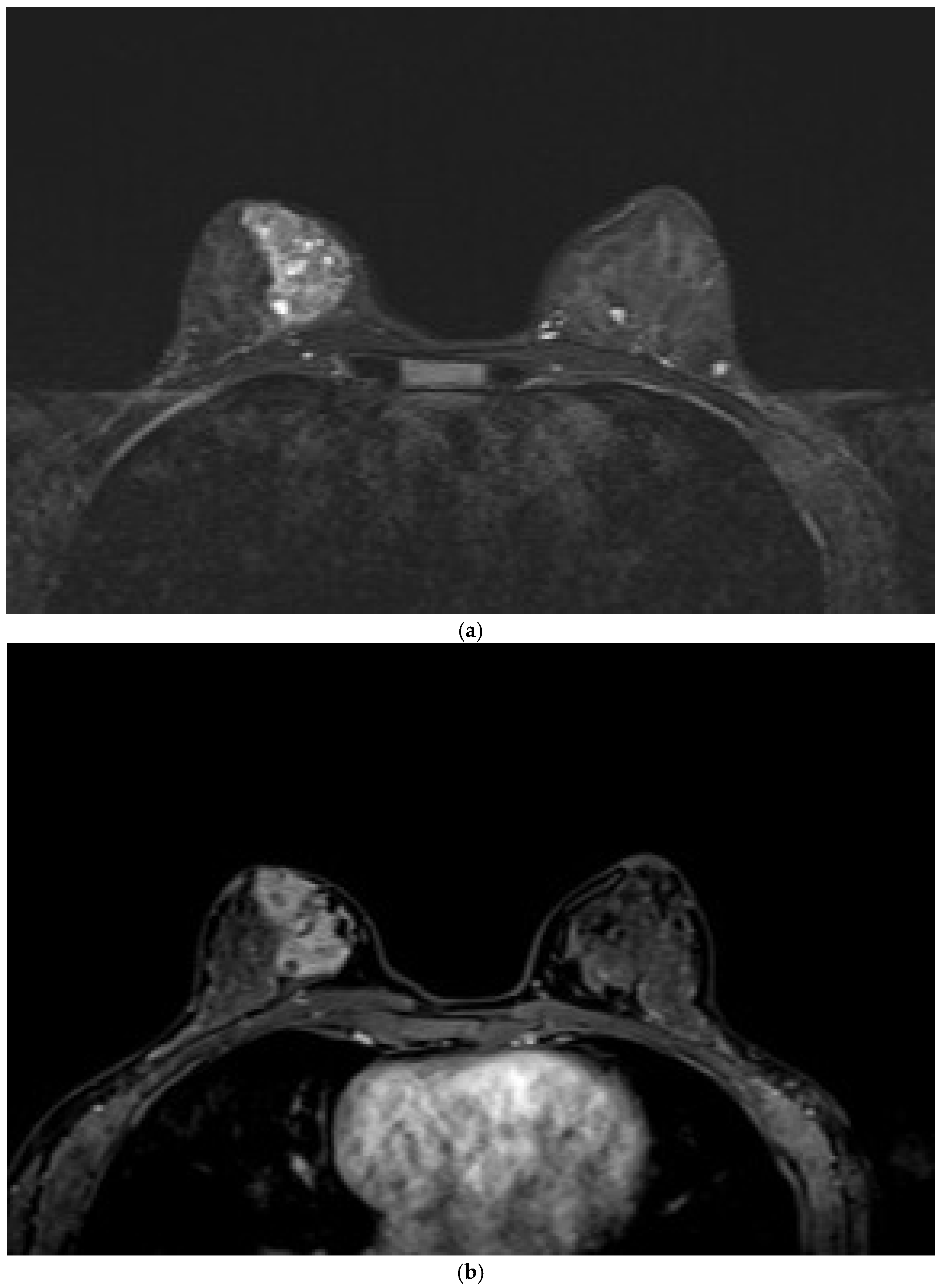 Preprints 172925 g003a