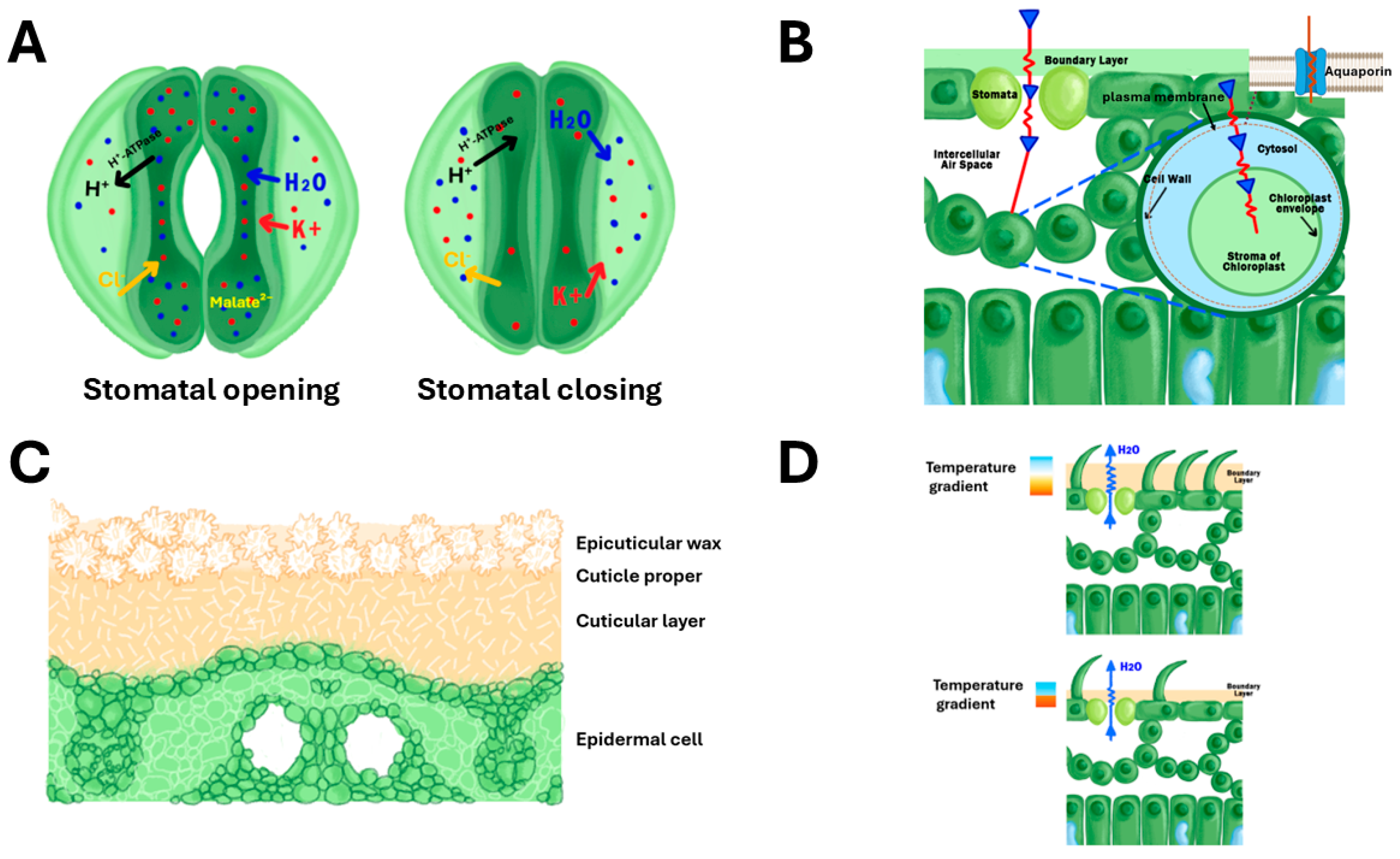 Preprints 162749 g001