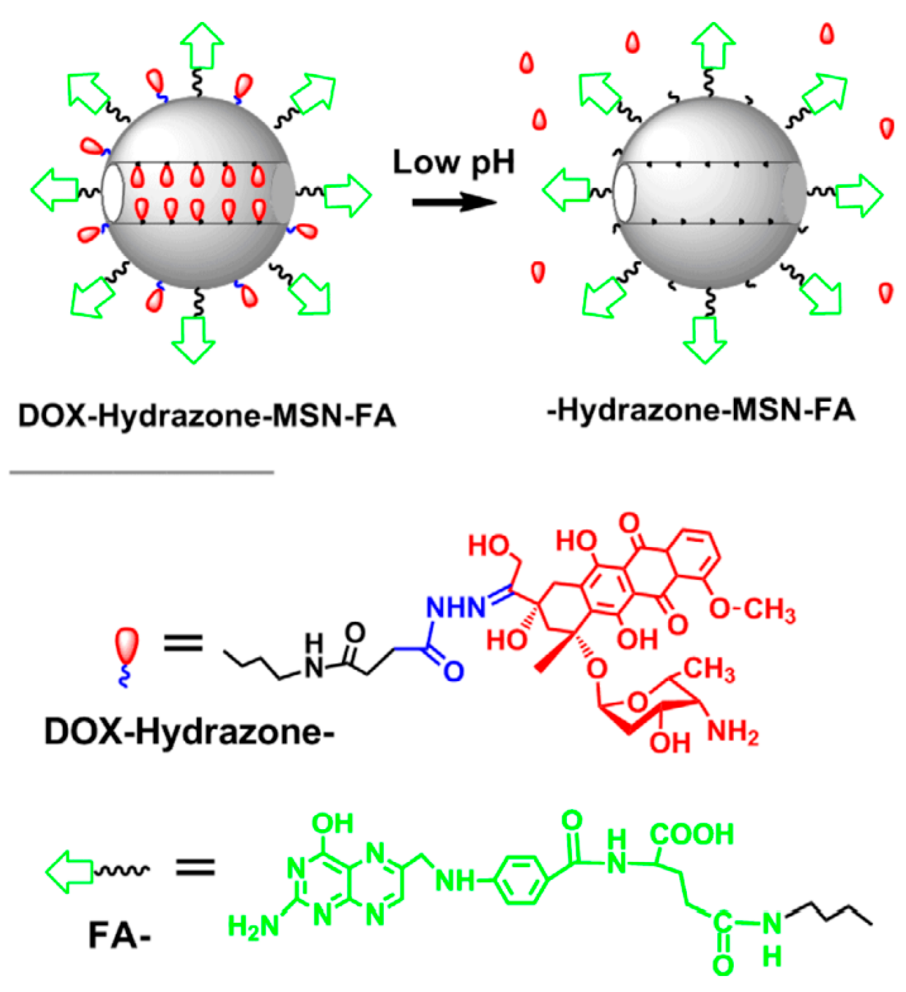 Preprints 141841 g011