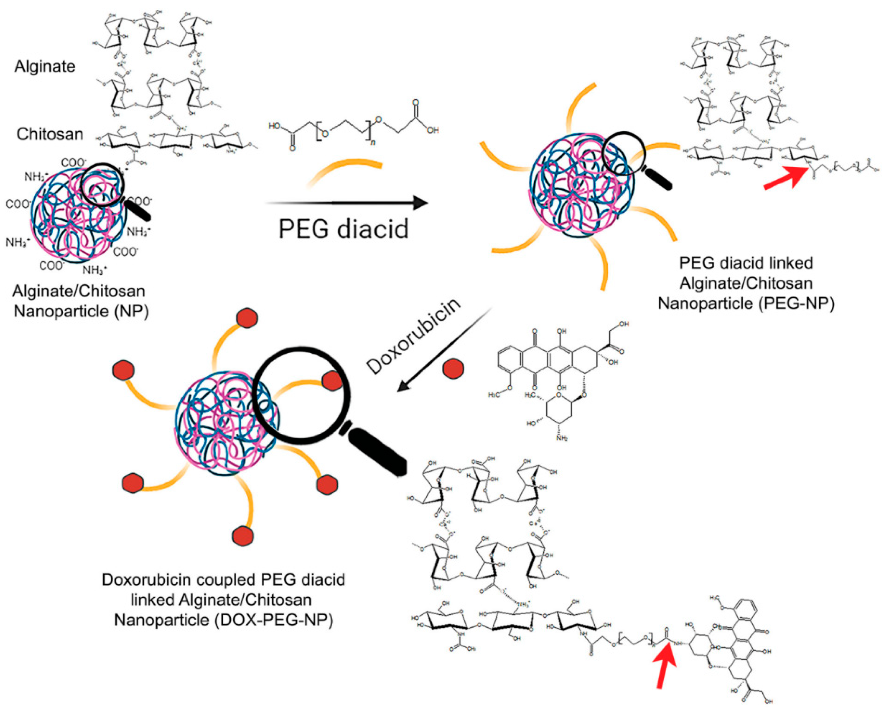 Preprints 141841 g015