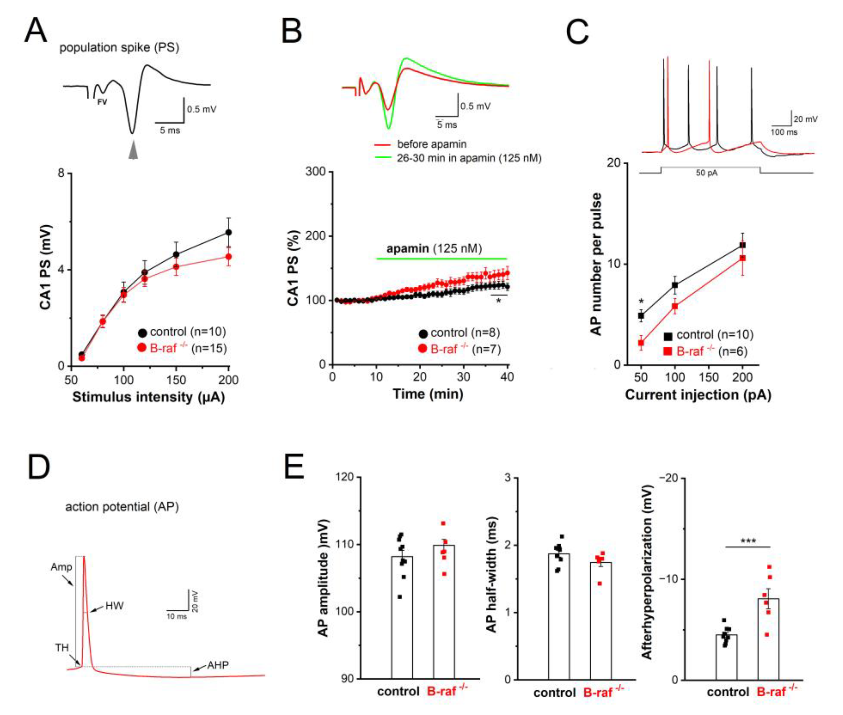 Preprints 165210 g003