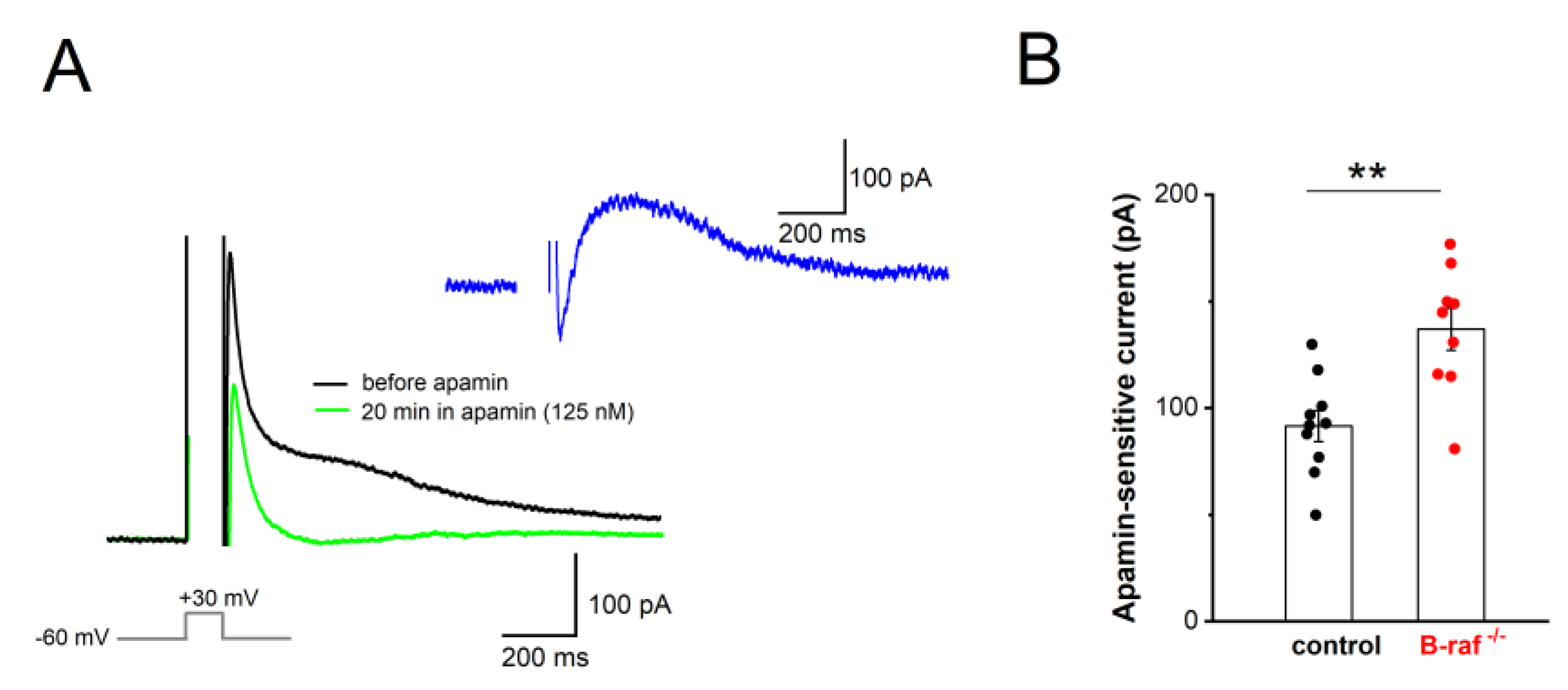 Preprints 165210 g004