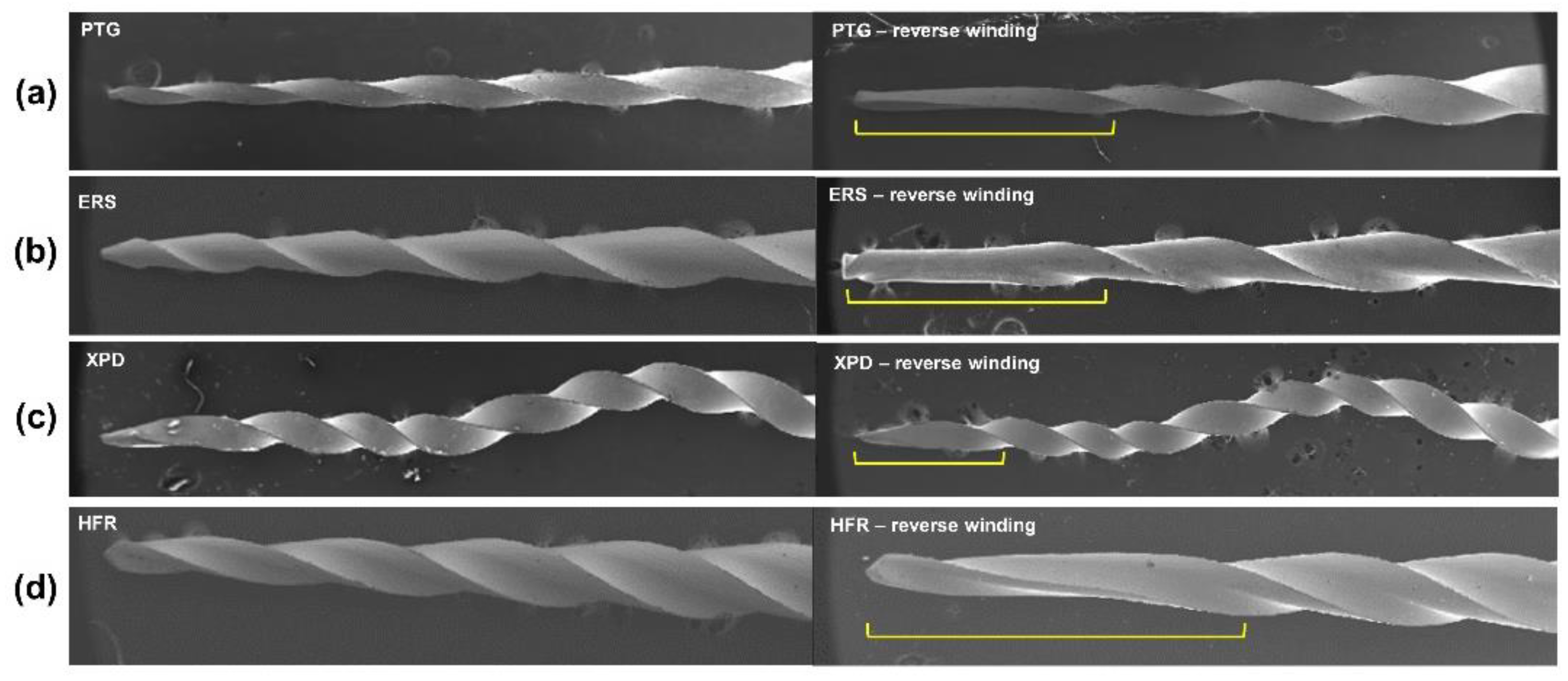 Preprints 149107 g003