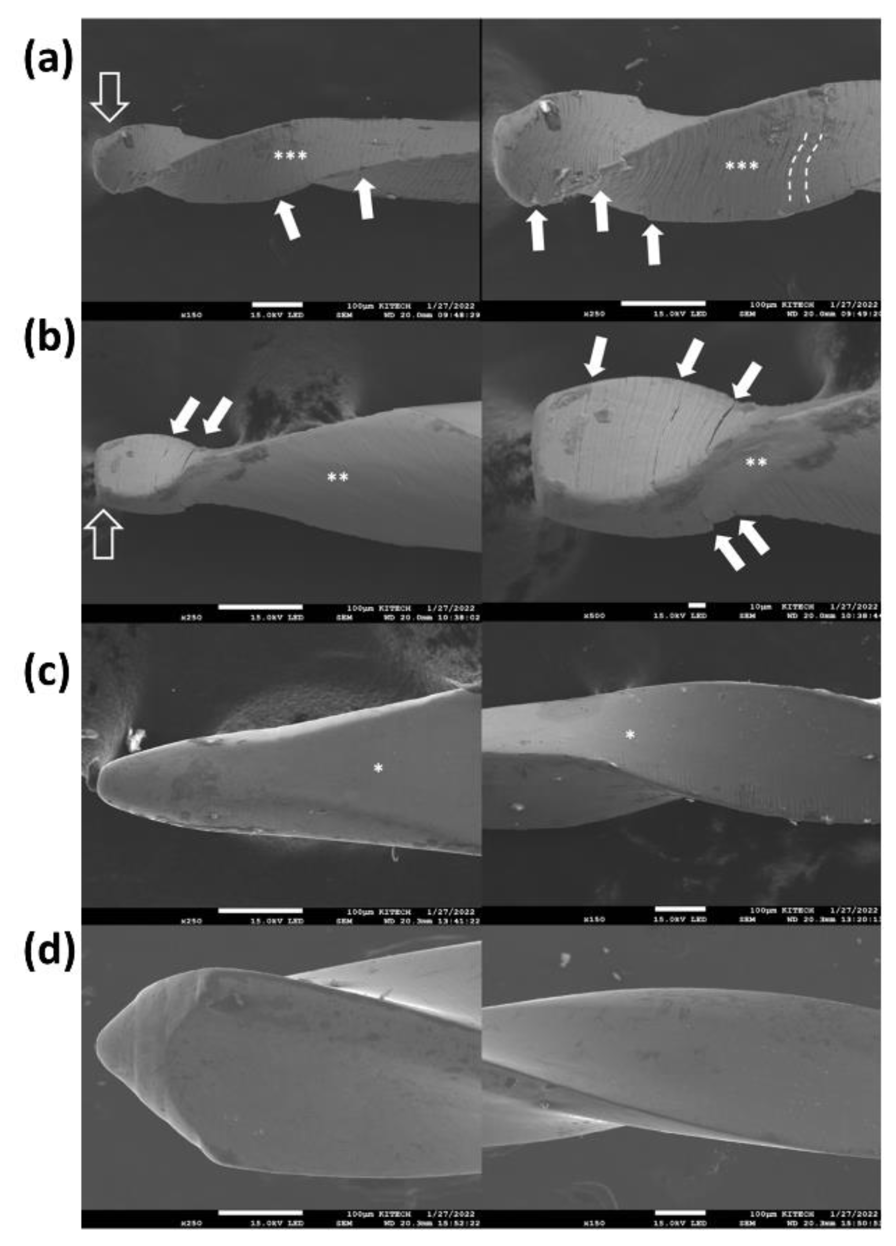 Preprints 149107 g004
