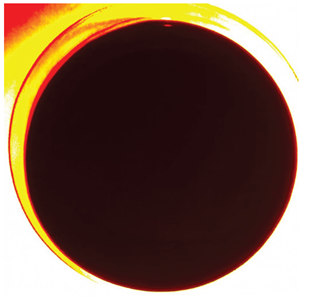 Preprints 174327 i008