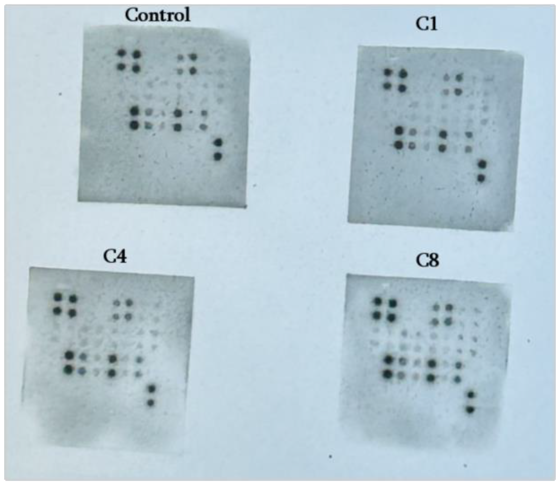 Preprints 189260 g001