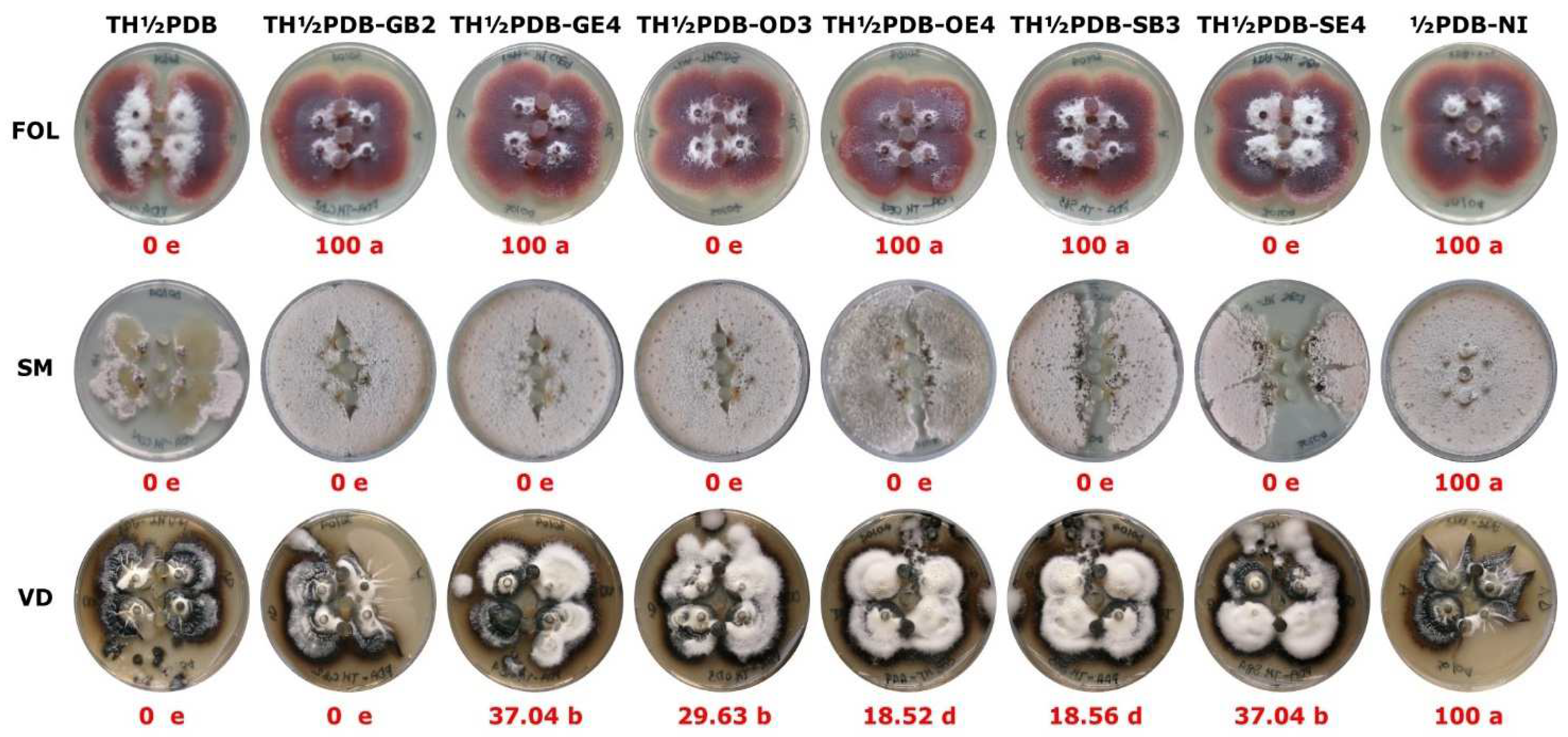 Preprints 161716 g004