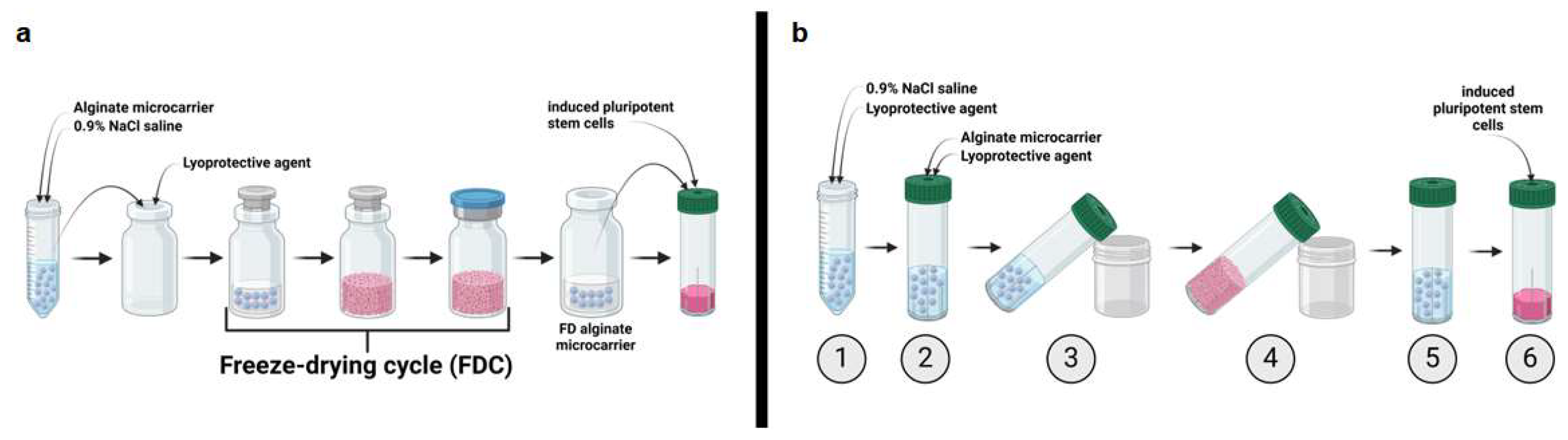 Preprints 158844 g002