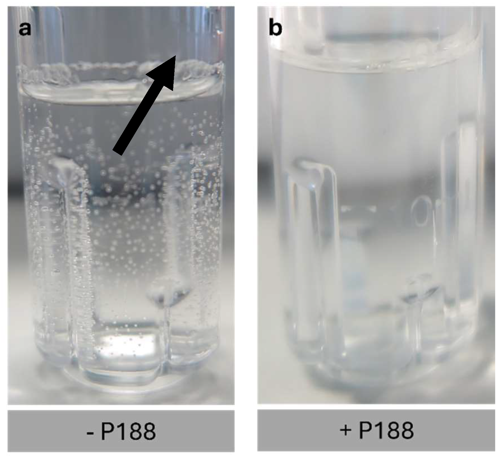 Preprints 158844 g004
