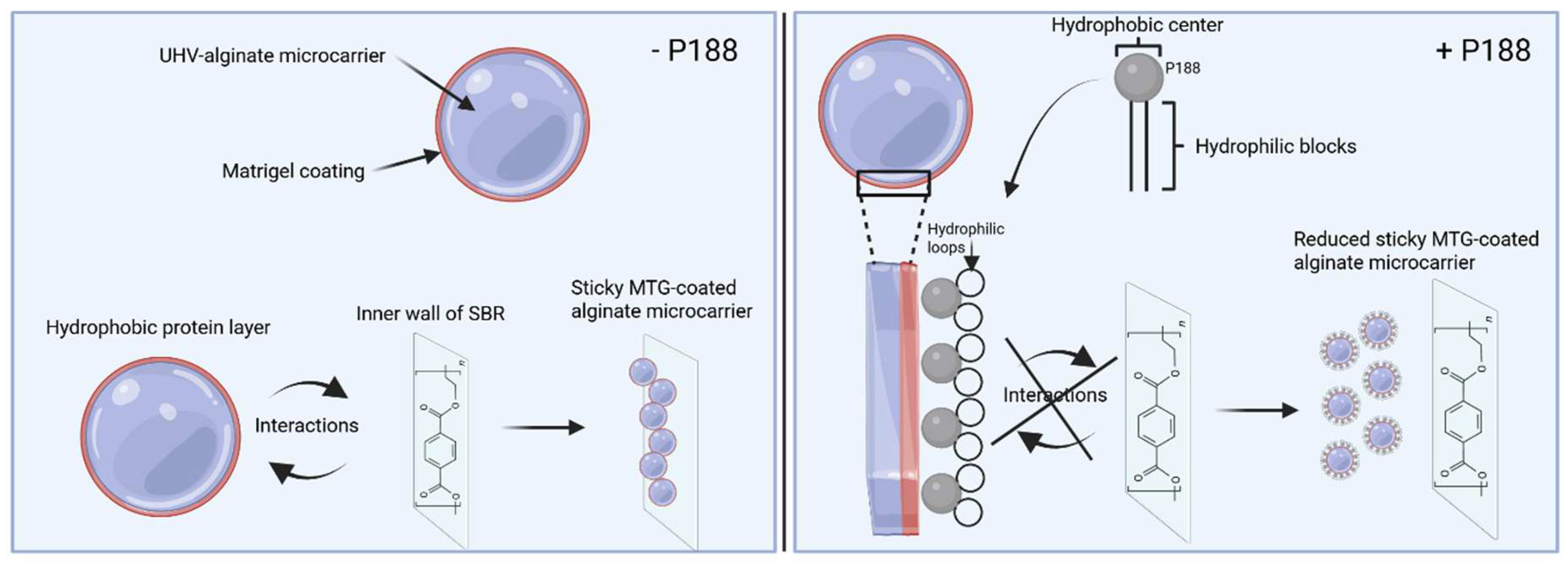 Preprints 158844 g006