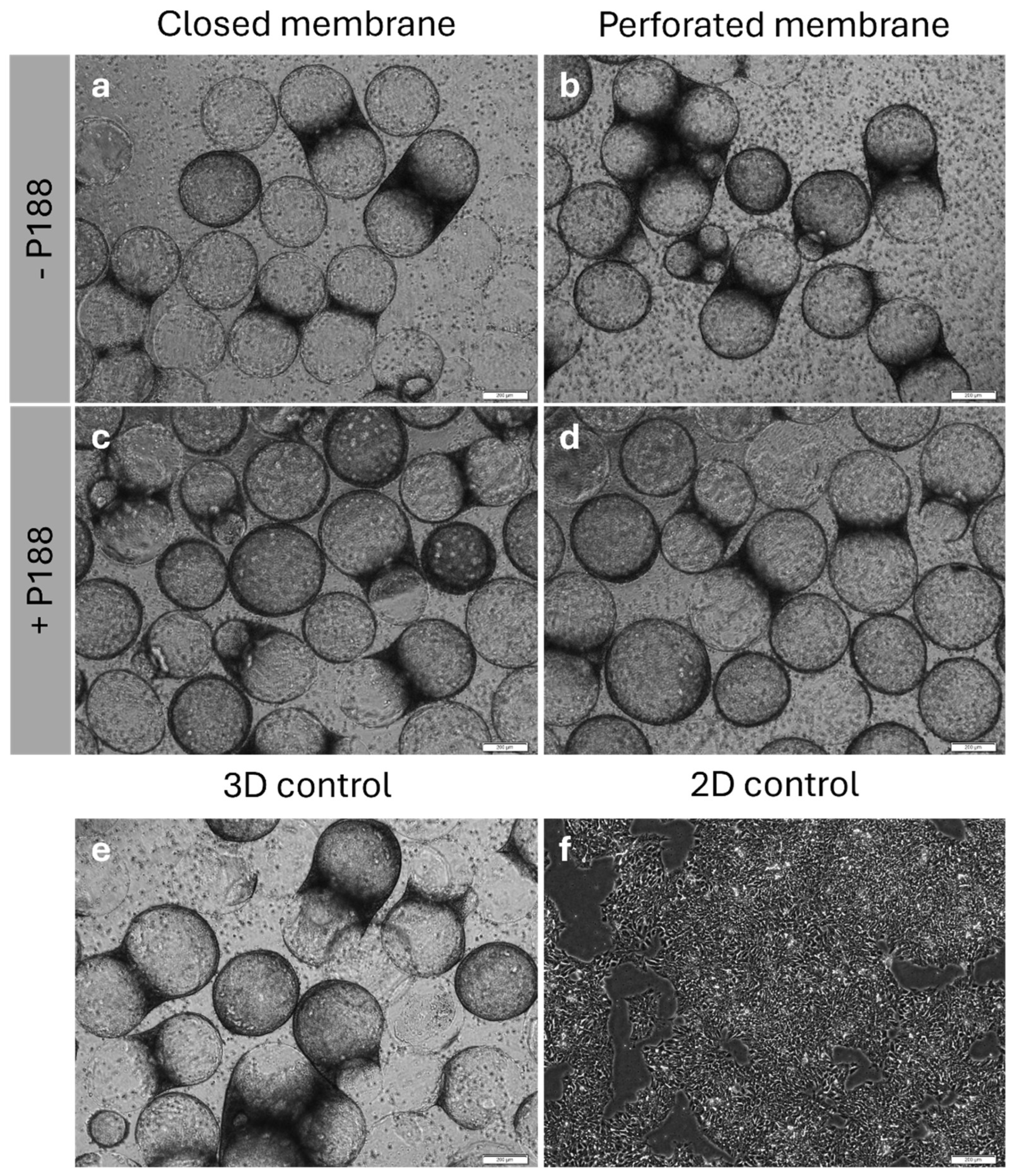Preprints 158844 g007