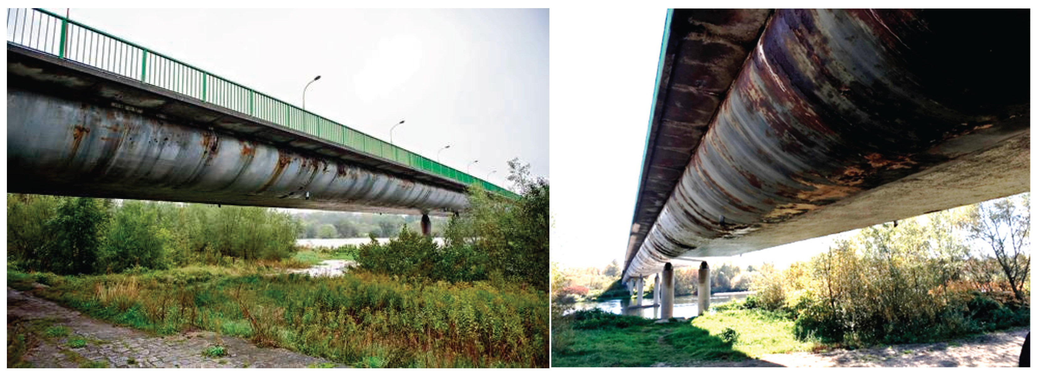 Preprints 177505 g002