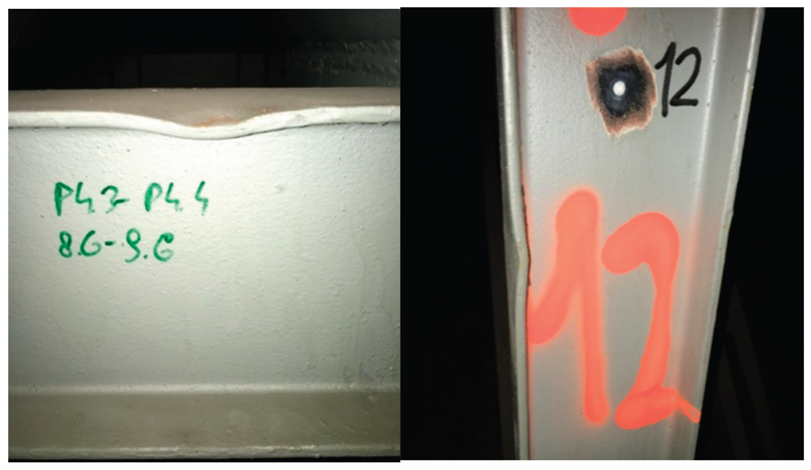 Preprints 177505 g005