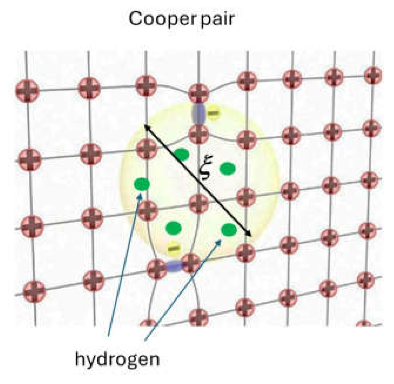 Preprints 144577 g003