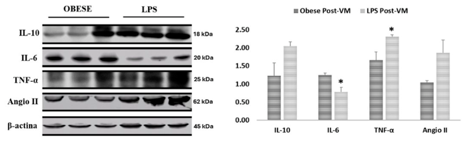 Preprints 227934 g006 Preprints 227934 g006