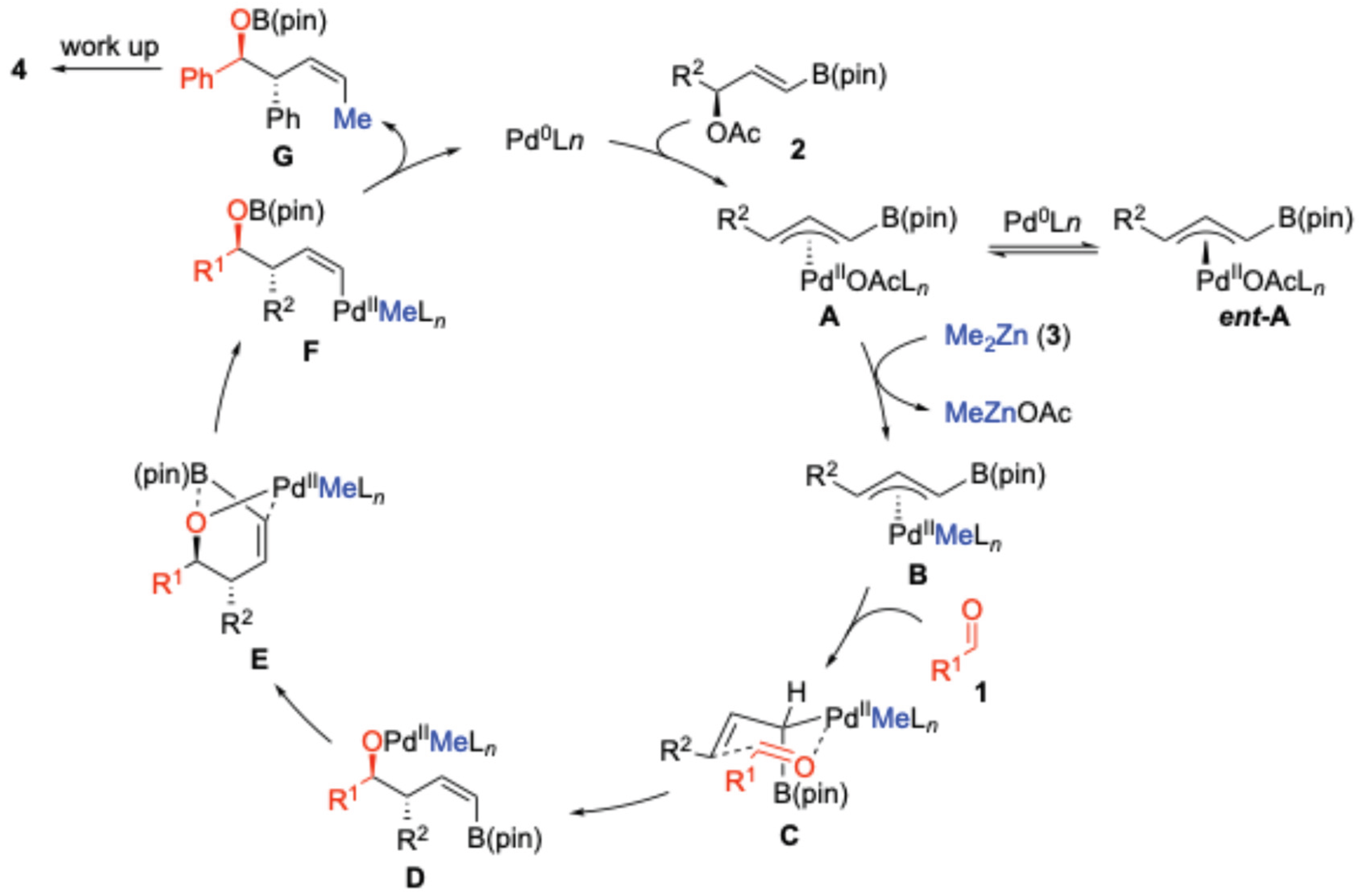 Preprints 200320 sch002
