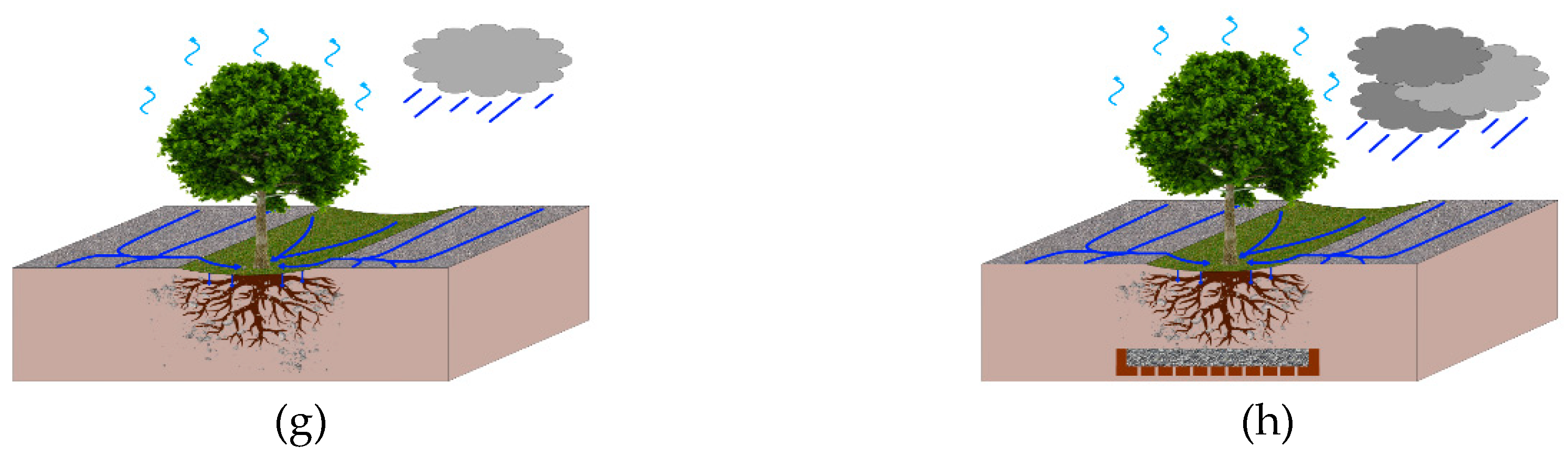 Preprints 97660 g002b