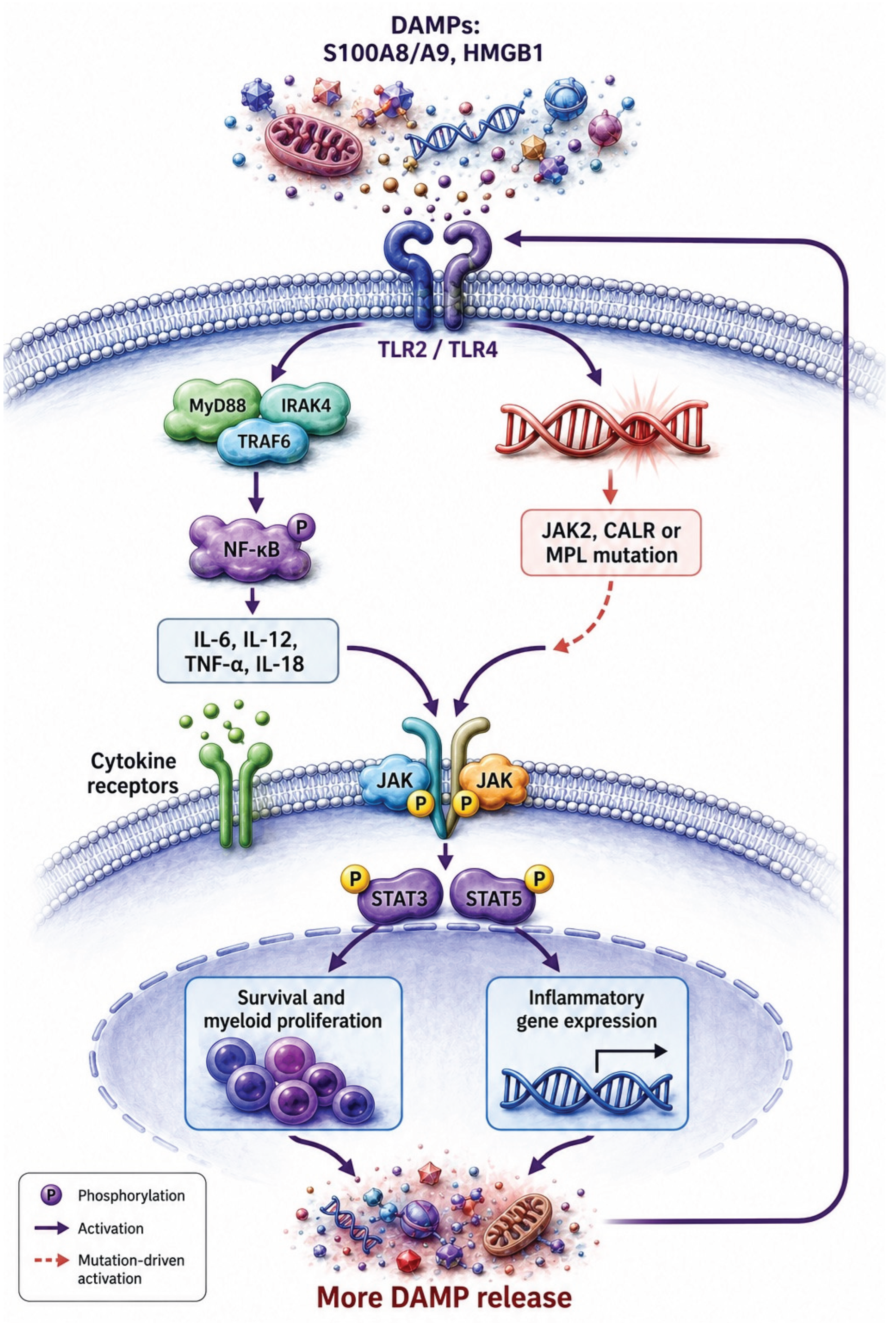 Preprints 230971 g003 Preprints 230971 g003
