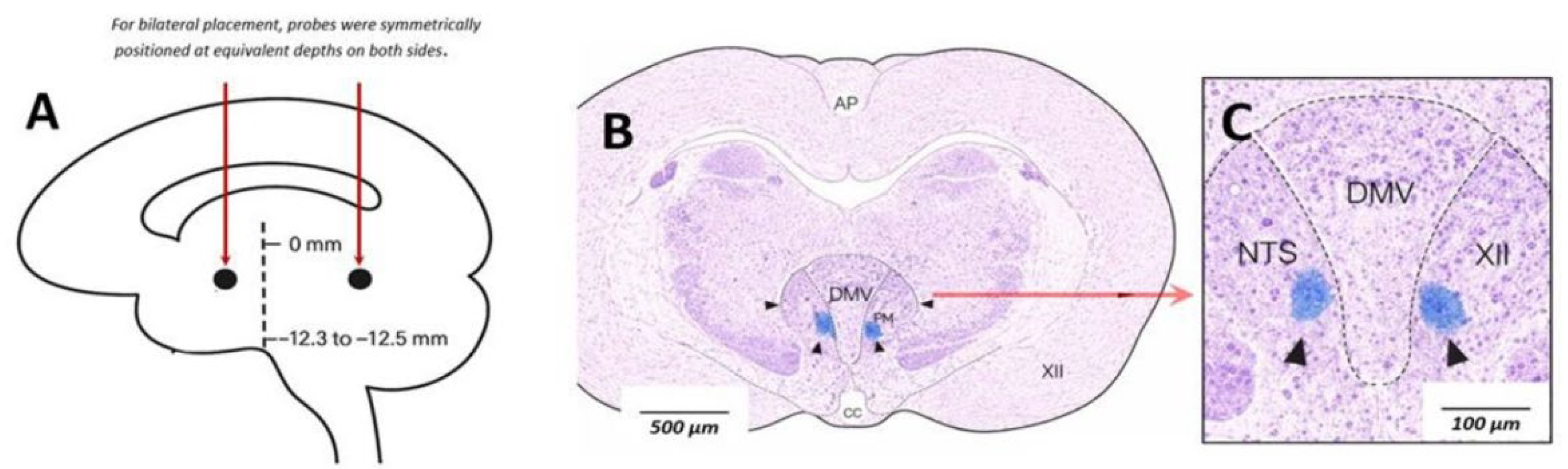 Preprints 199876 g001