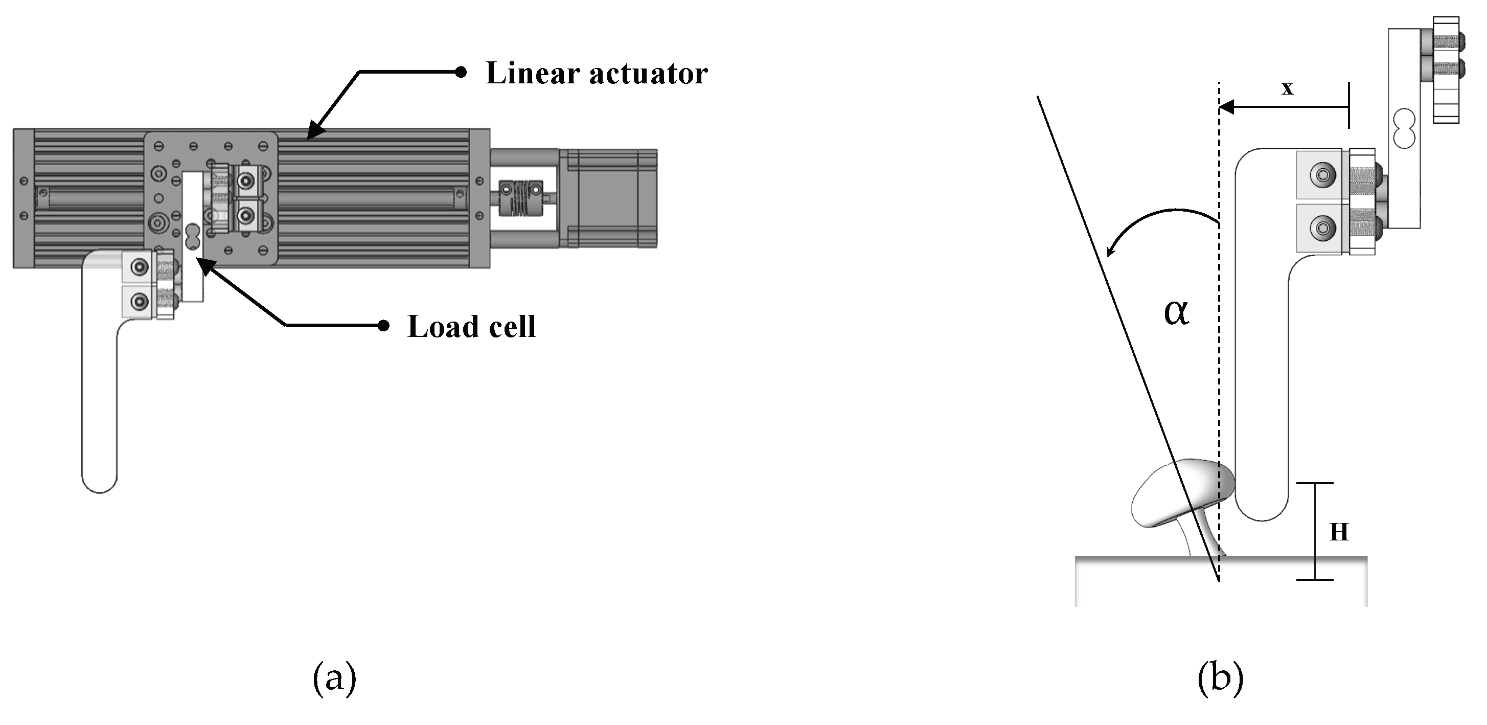 Preprints 198248 g007