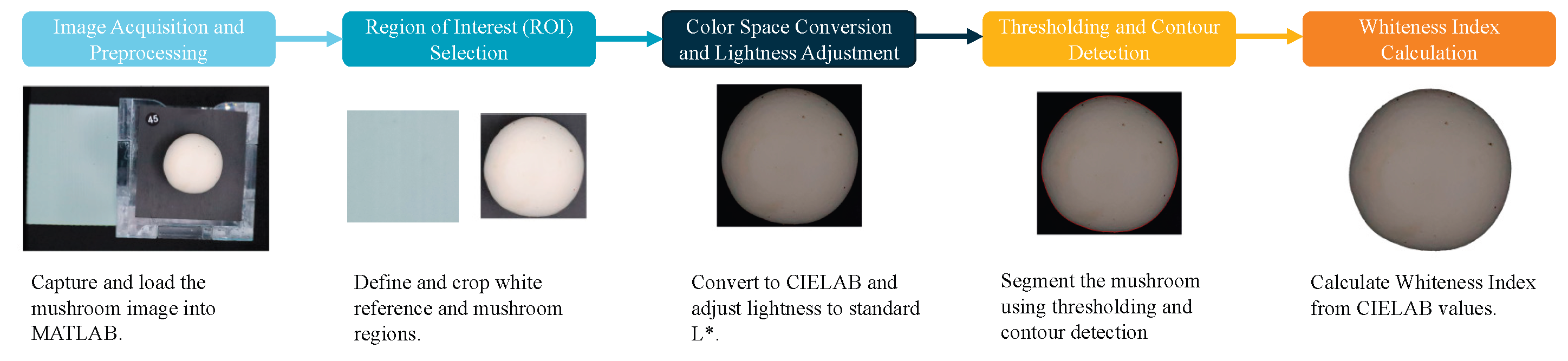 Preprints 198248 g016