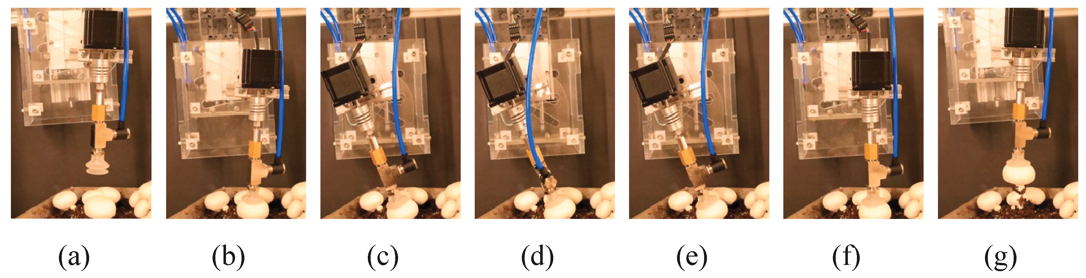 Preprints 198248 g021