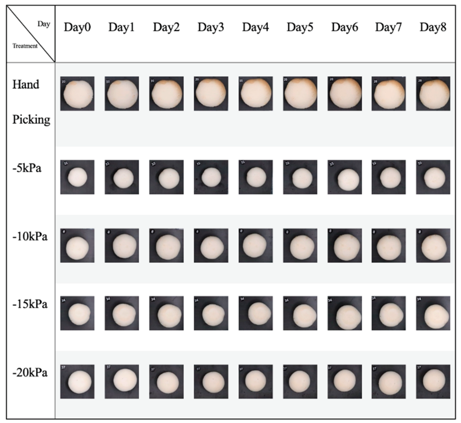 Preprints 198248 g023