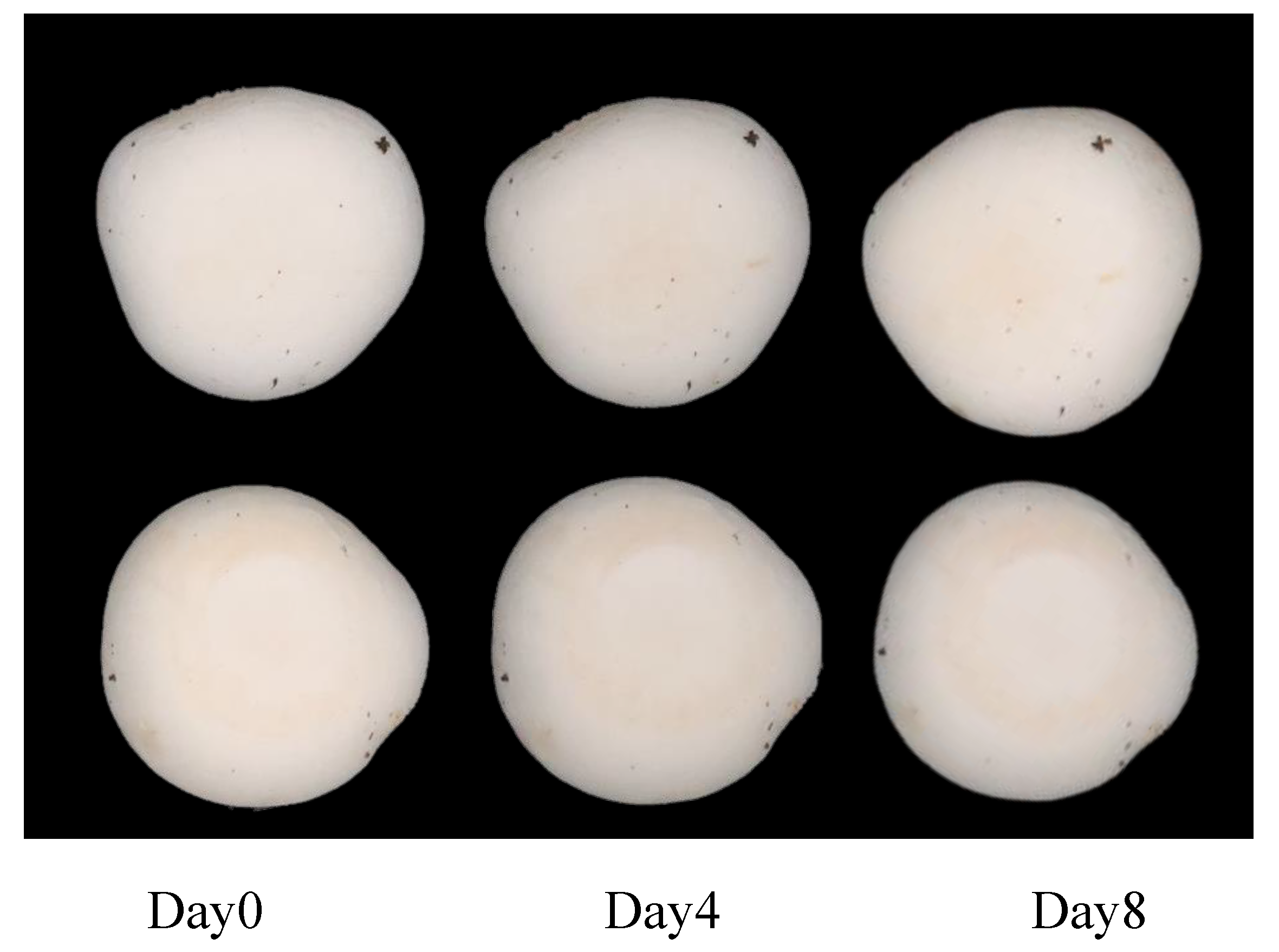 Preprints 198248 g026