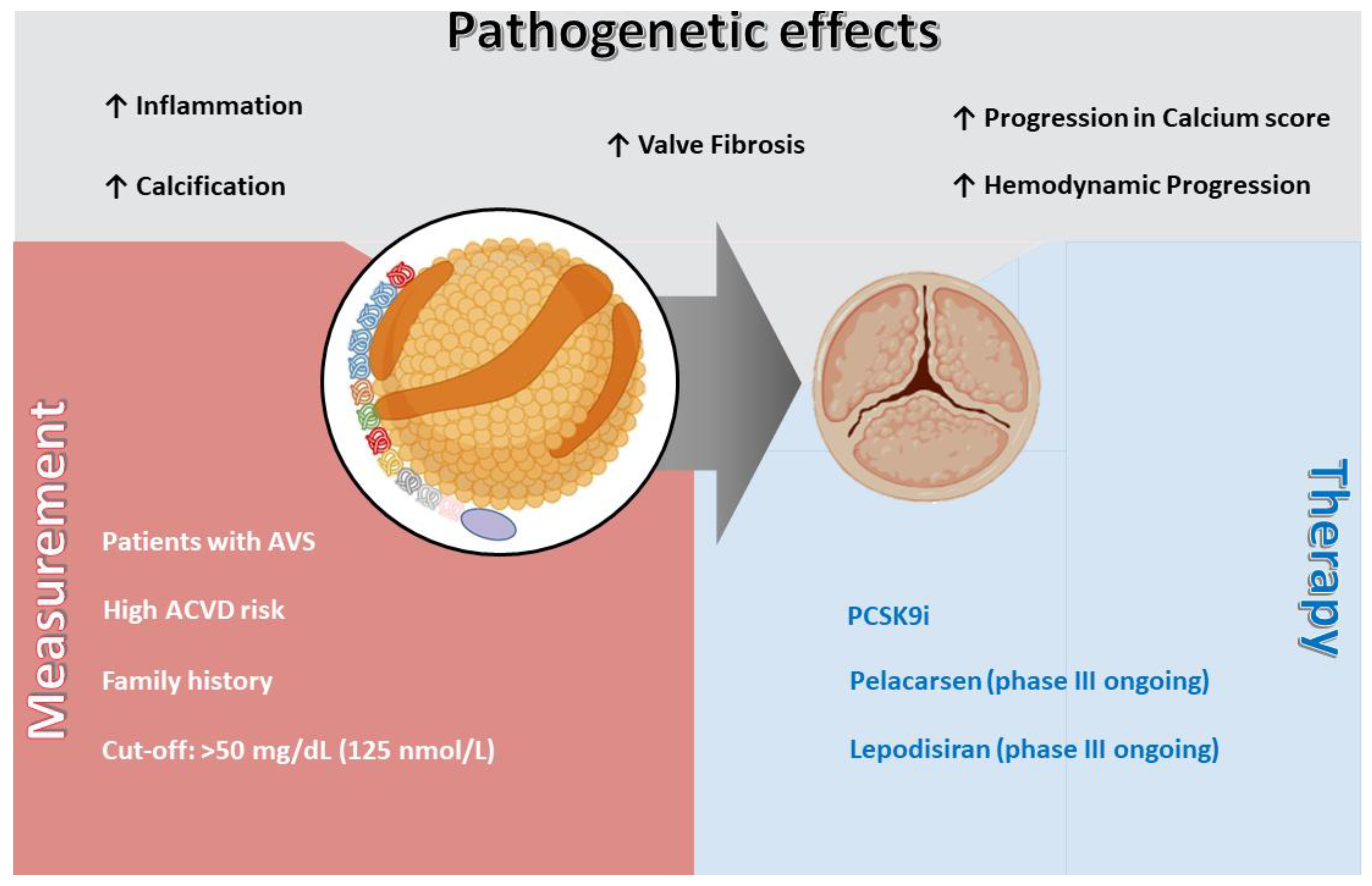 Preprints 179108 g001