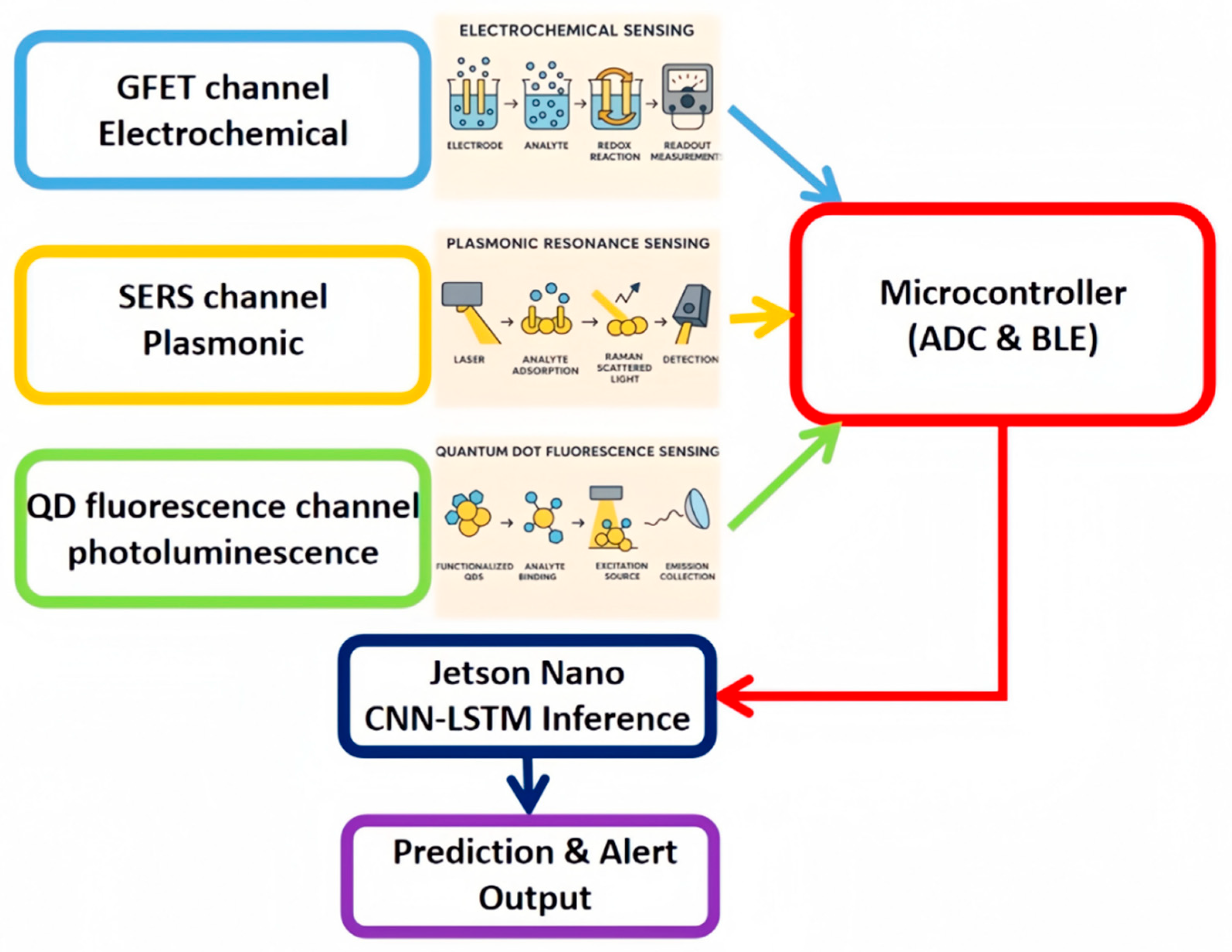 Preprints 162958 g002