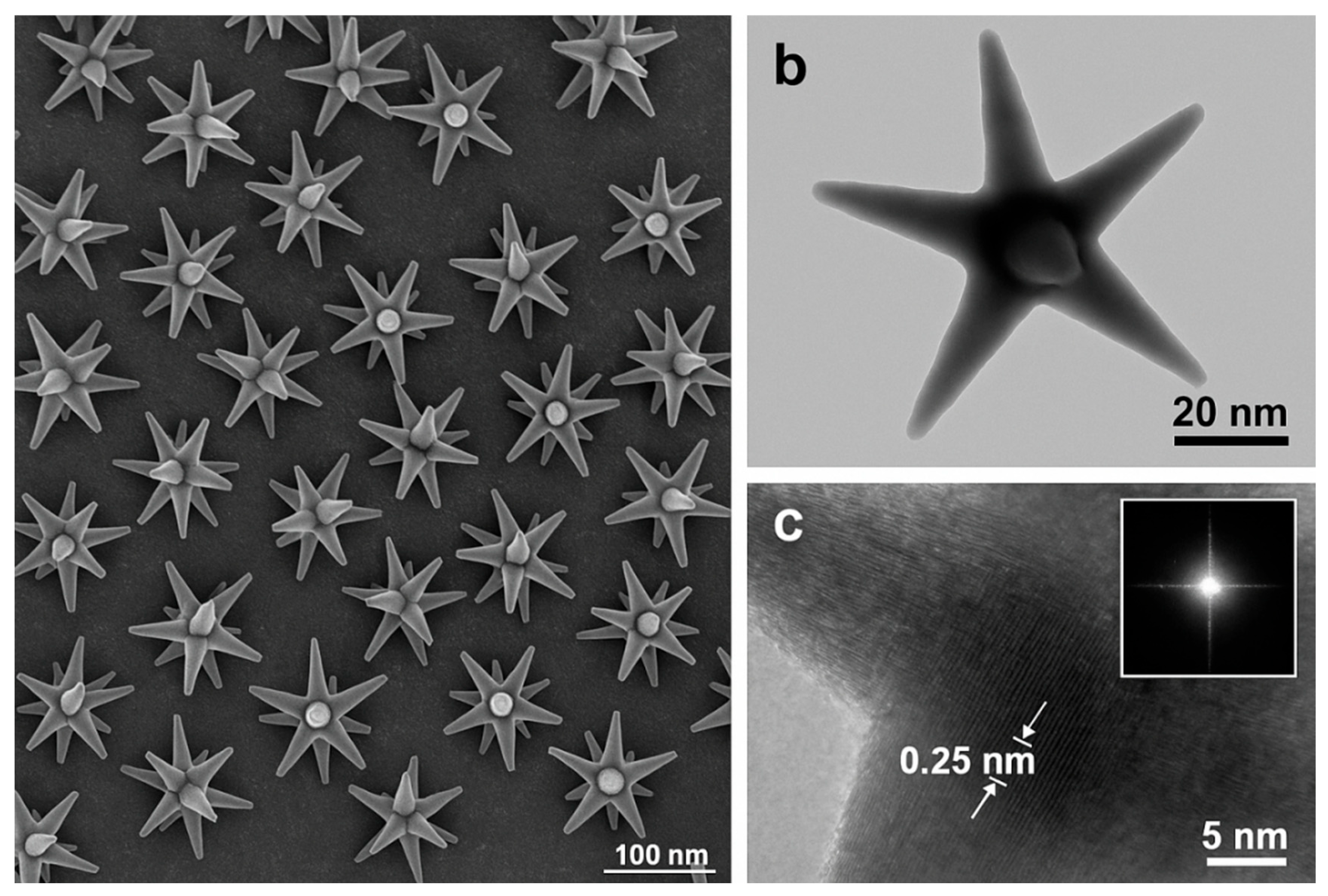 Preprints 162958 g004