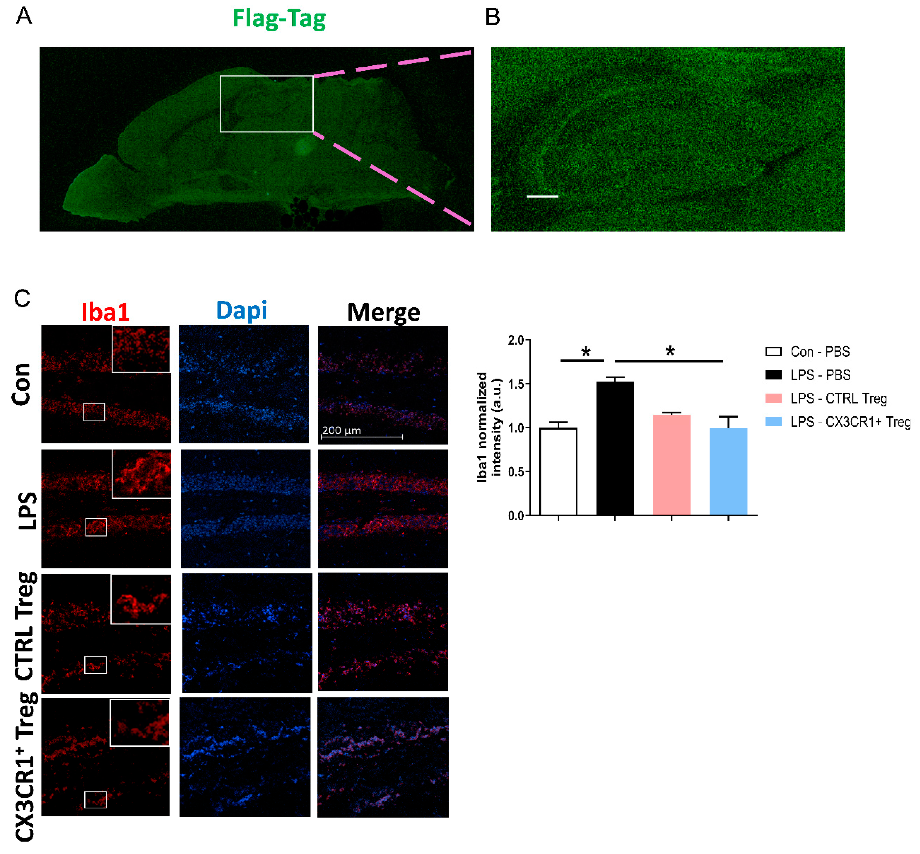 Preprints 141342 g003