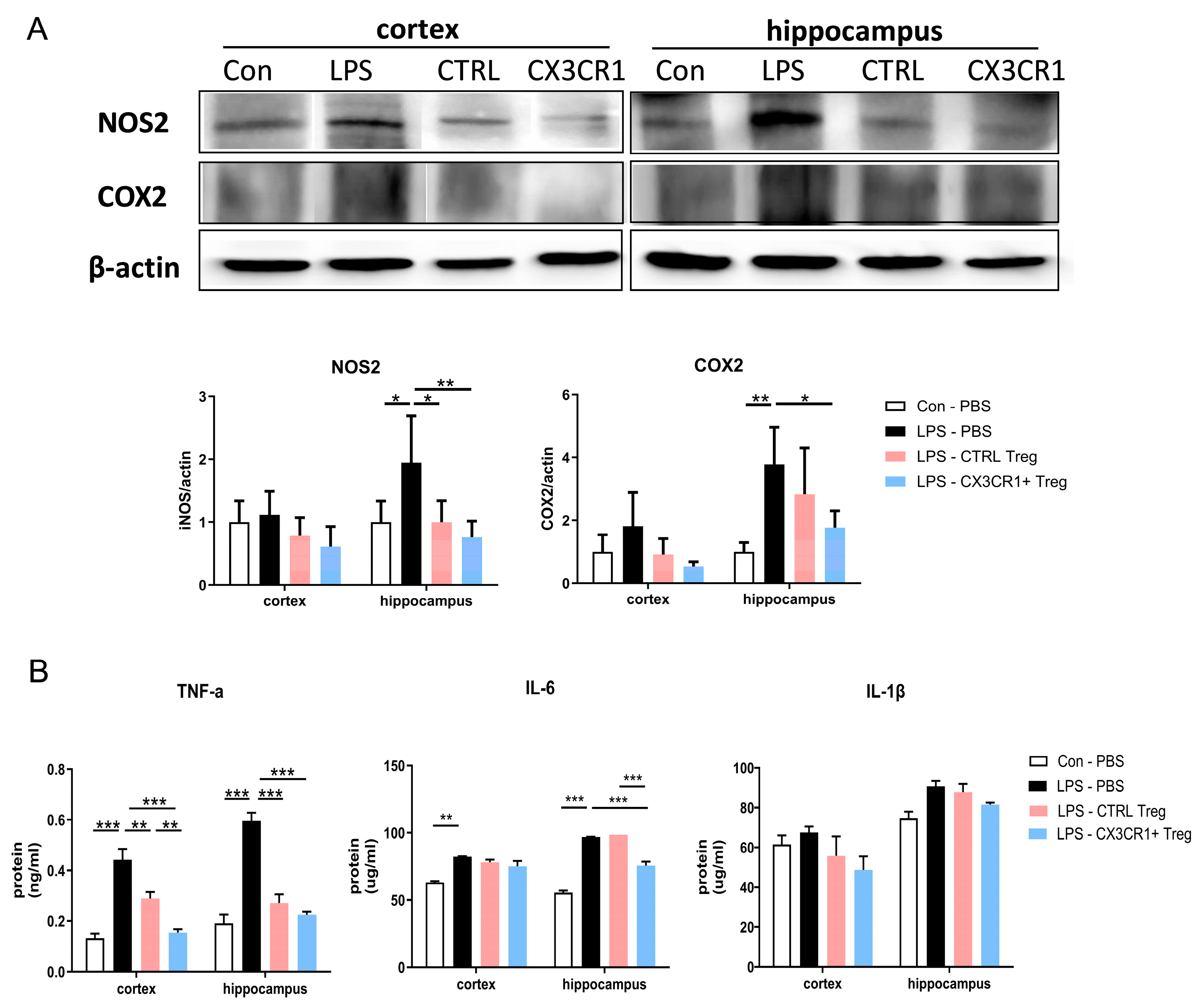 Preprints 141342 g005