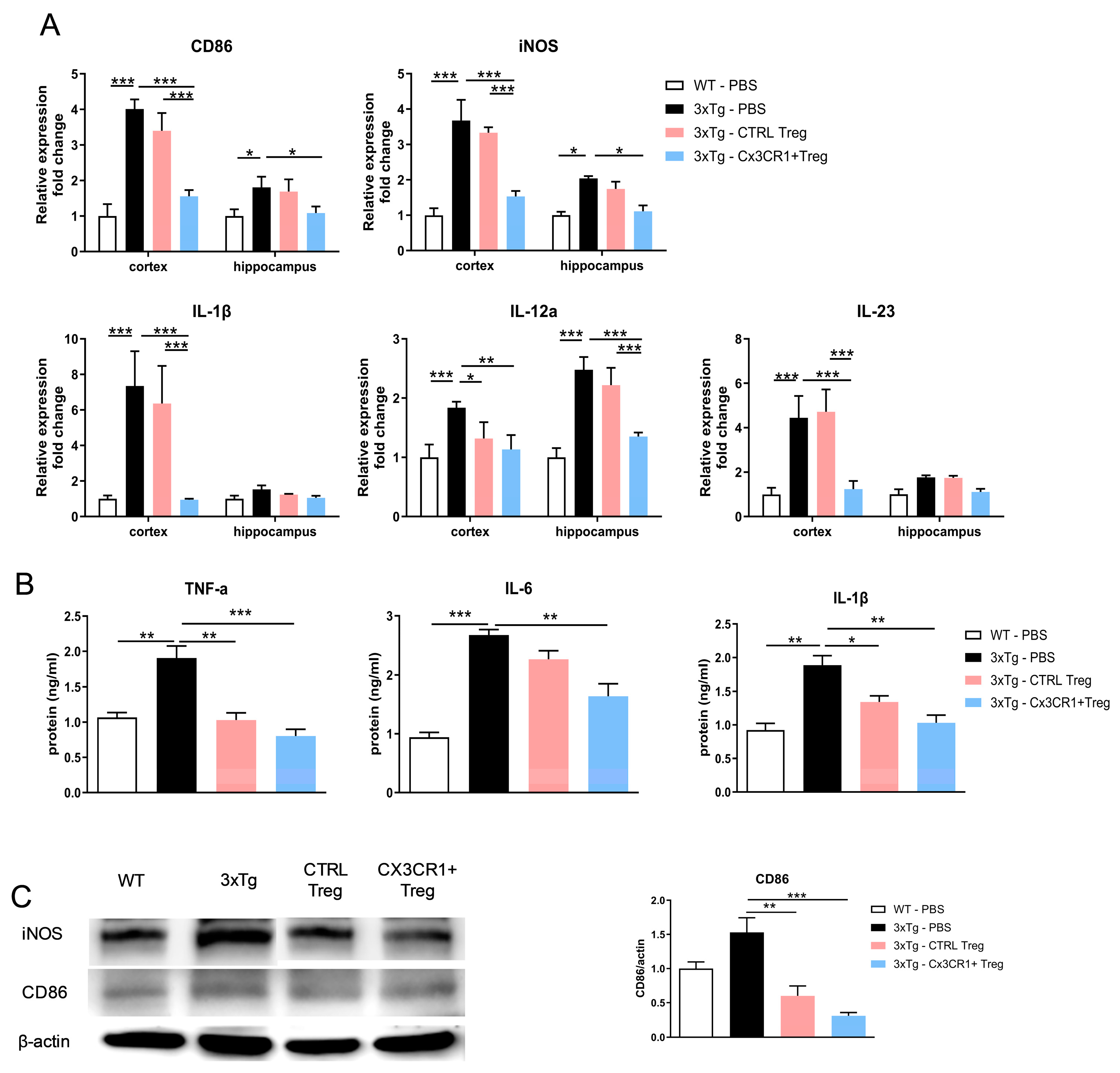 Preprints 141342 g009