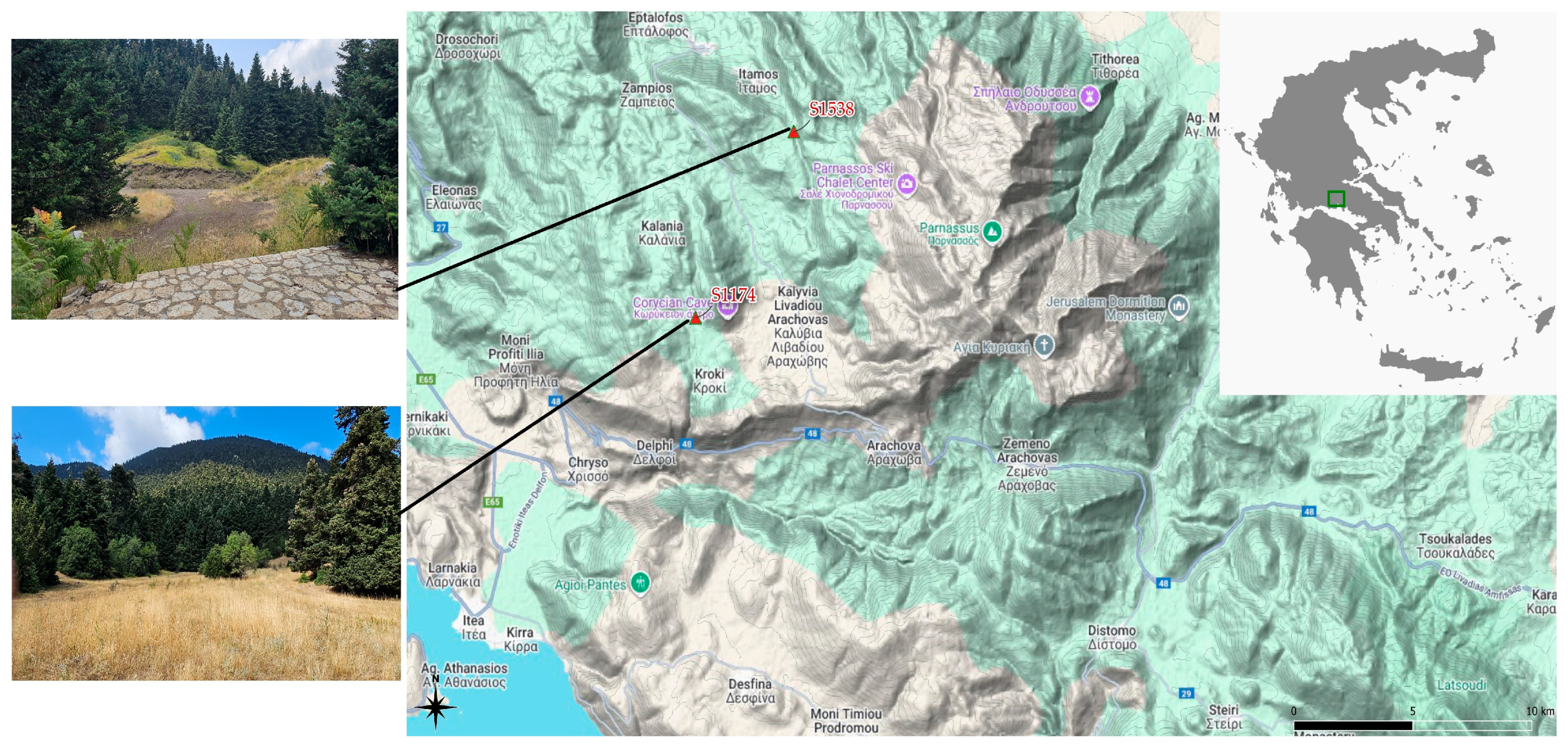 Preprints 192114 g001