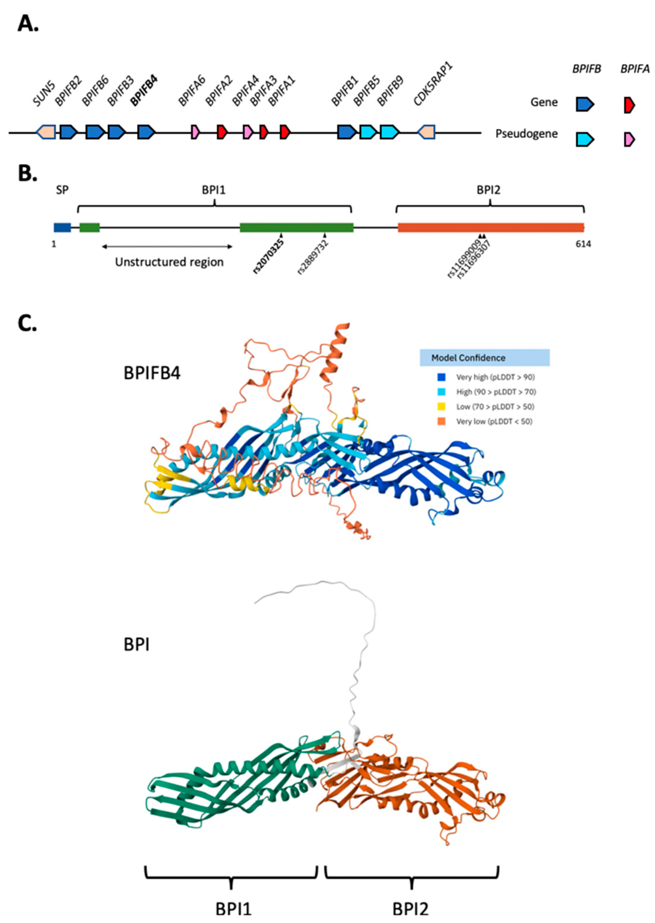 Preprints 191903 g001